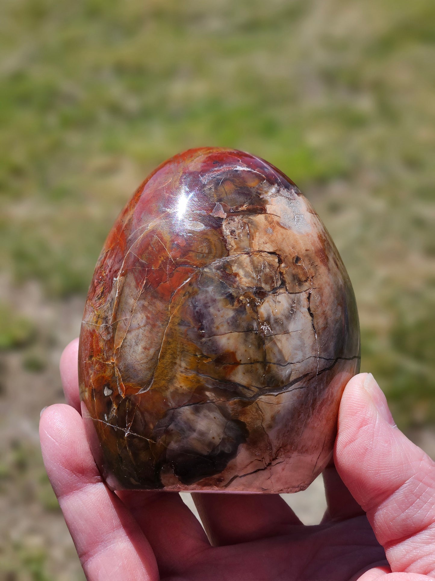 Petrified Wood Freeform