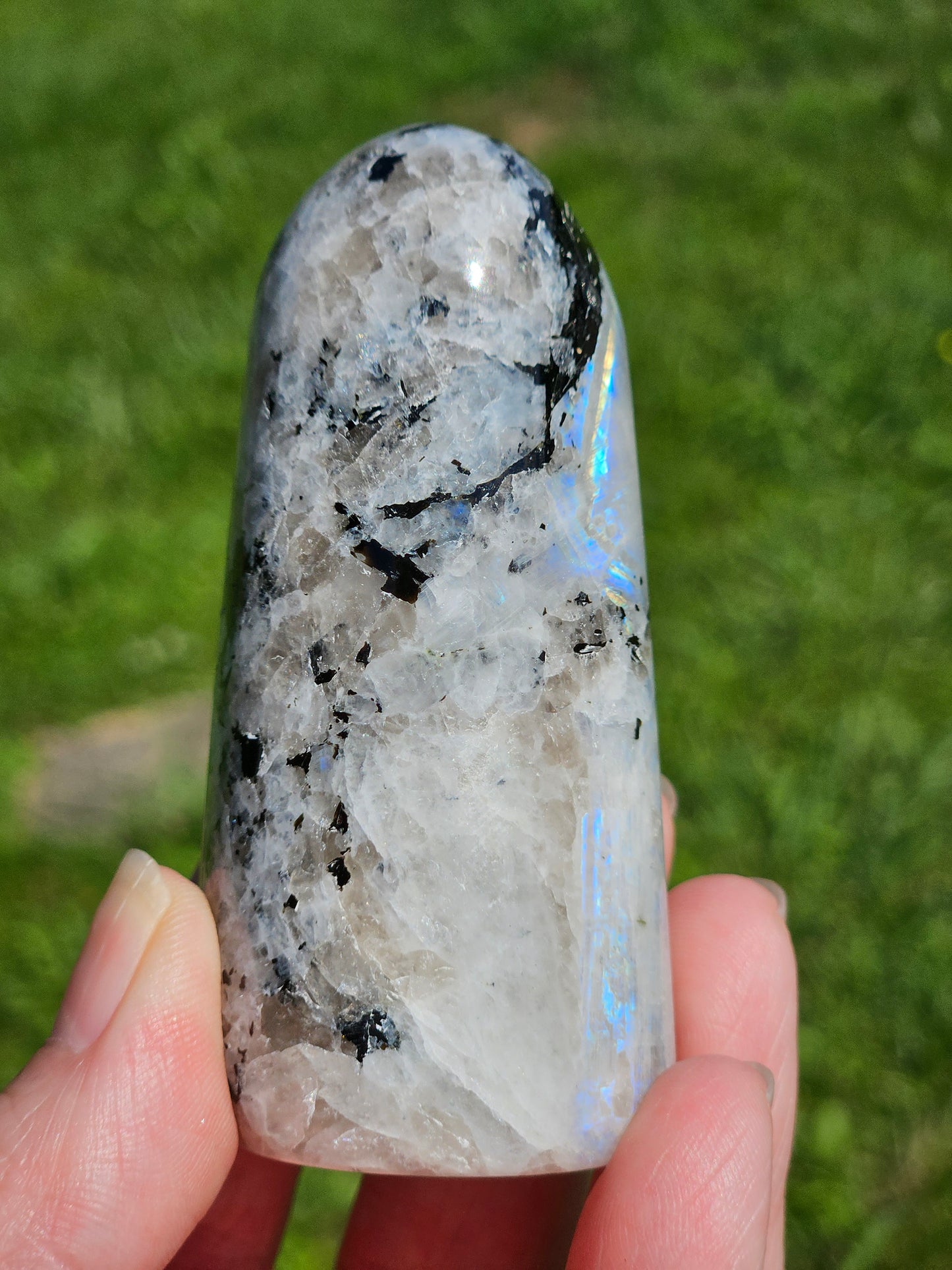 Rainbow Moonstone Freeform
