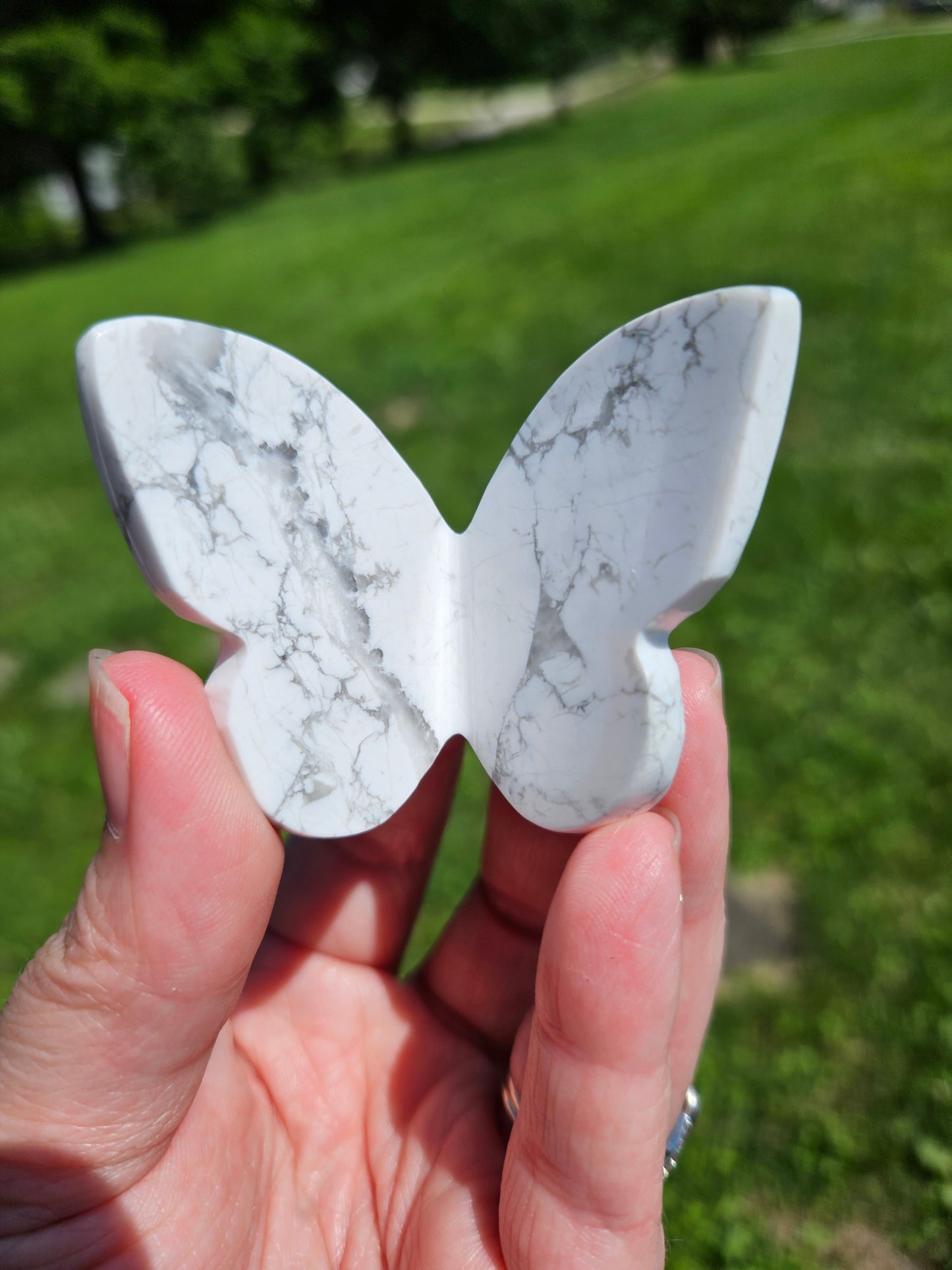 Howlite 3D Butterfly
