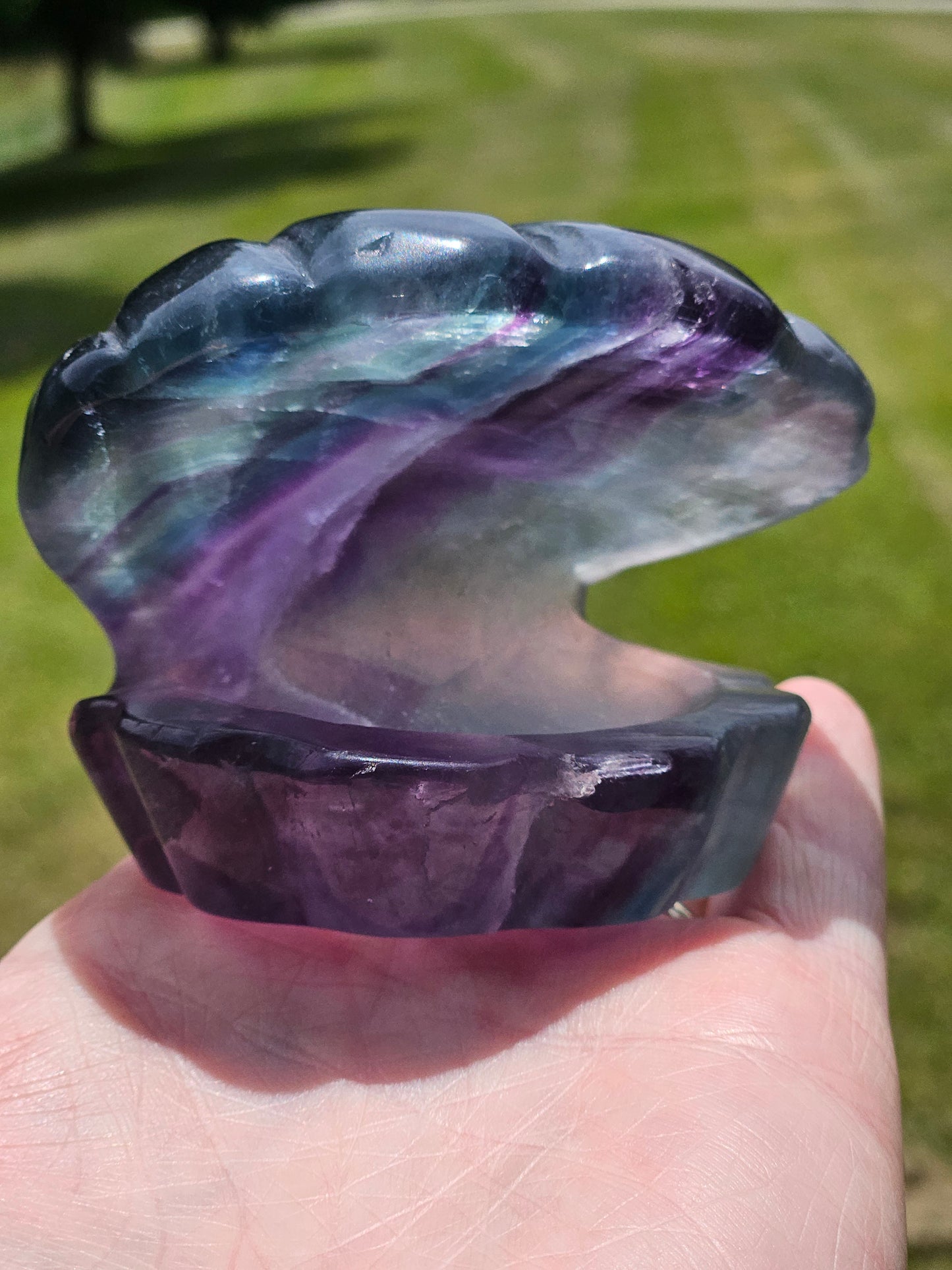 Fluorite Clam