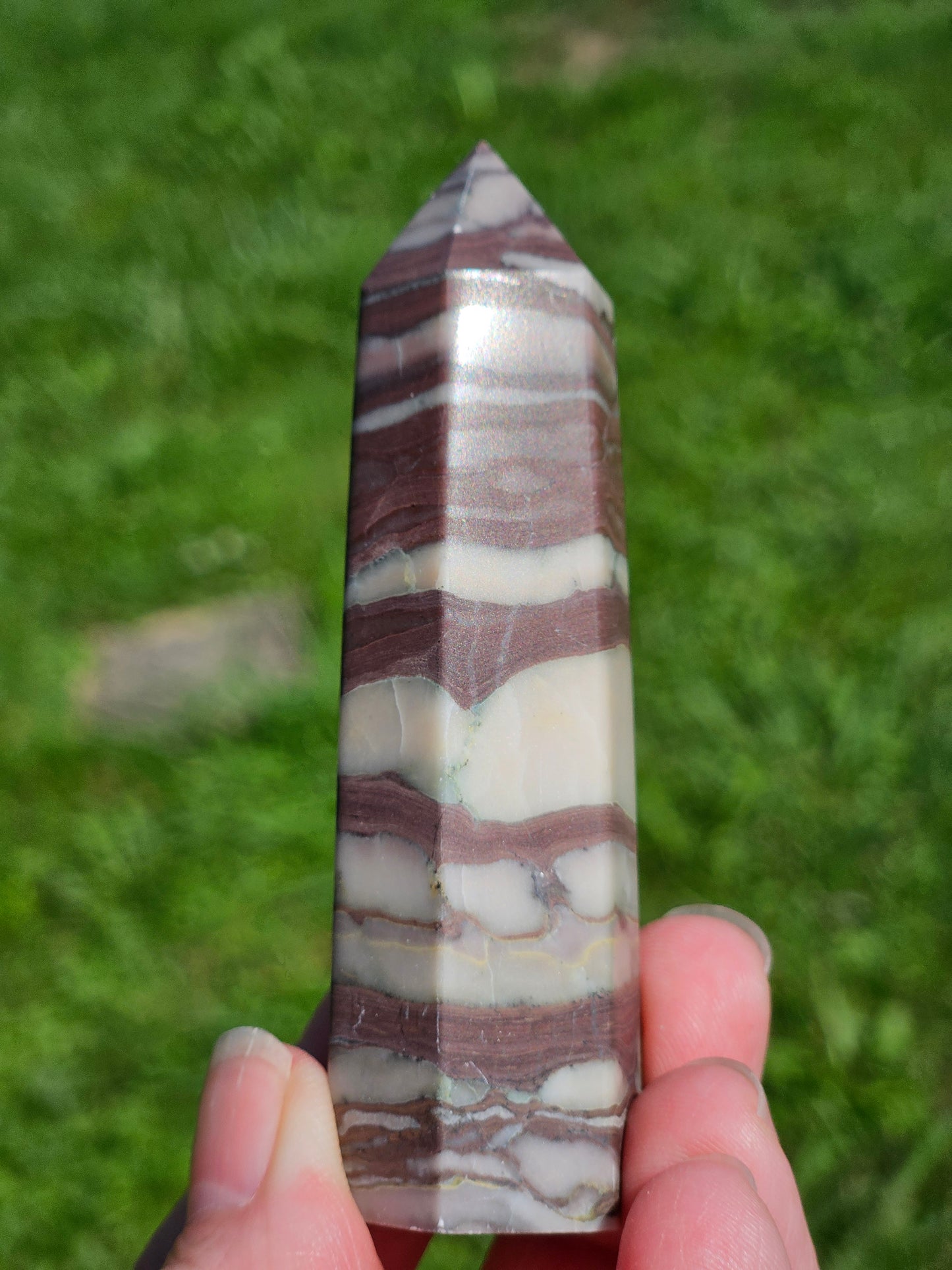 Zebra Jasper Tower