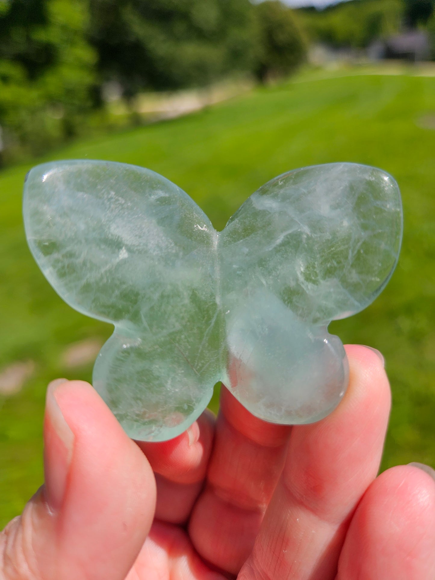 Fluorite 3D Butterfly