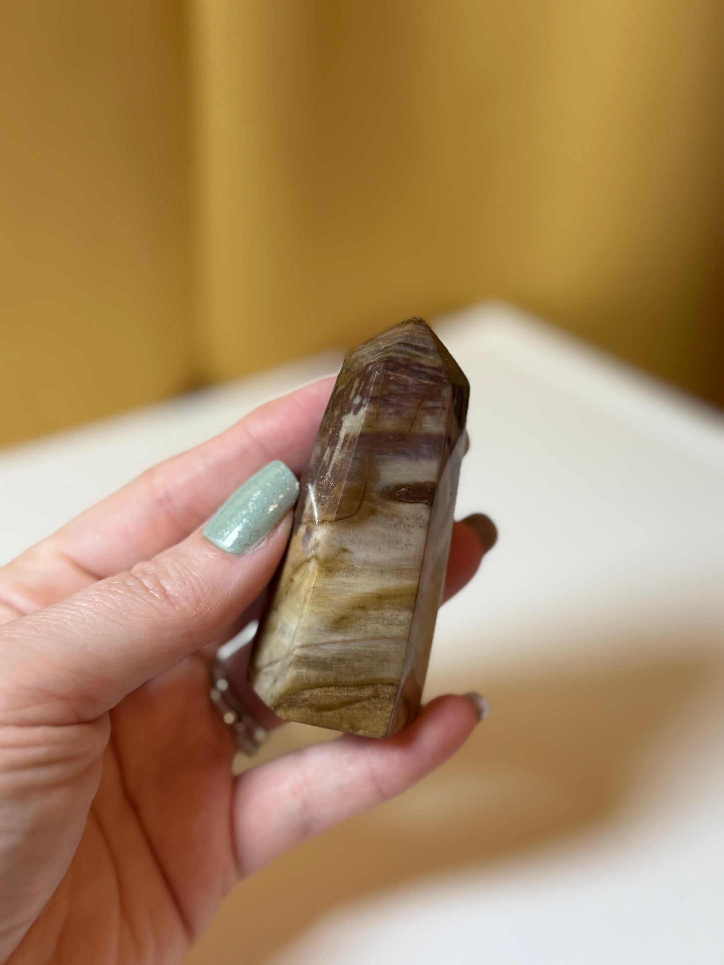 Petrified Wood Polished Points