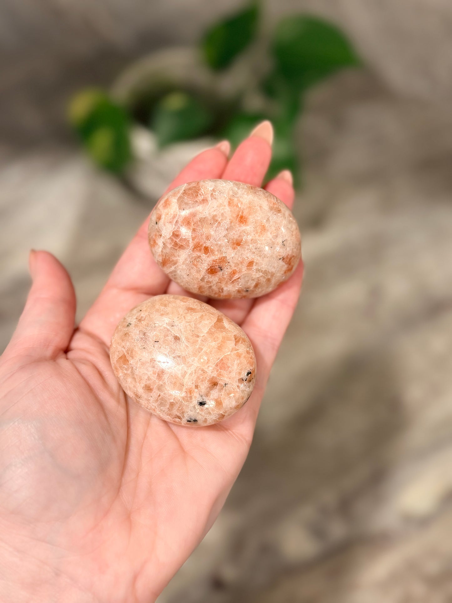 Sunstone Palm Stone