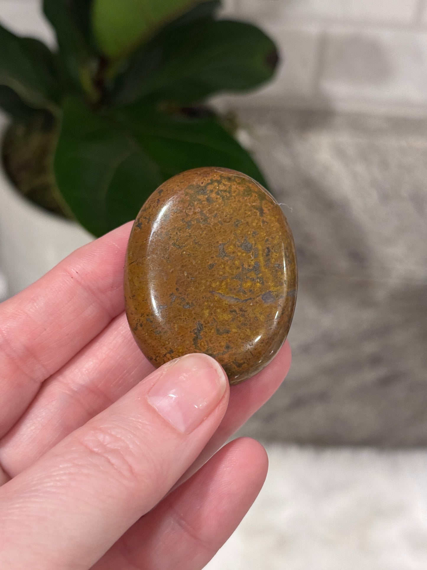 Ocean Jasper Palmstone