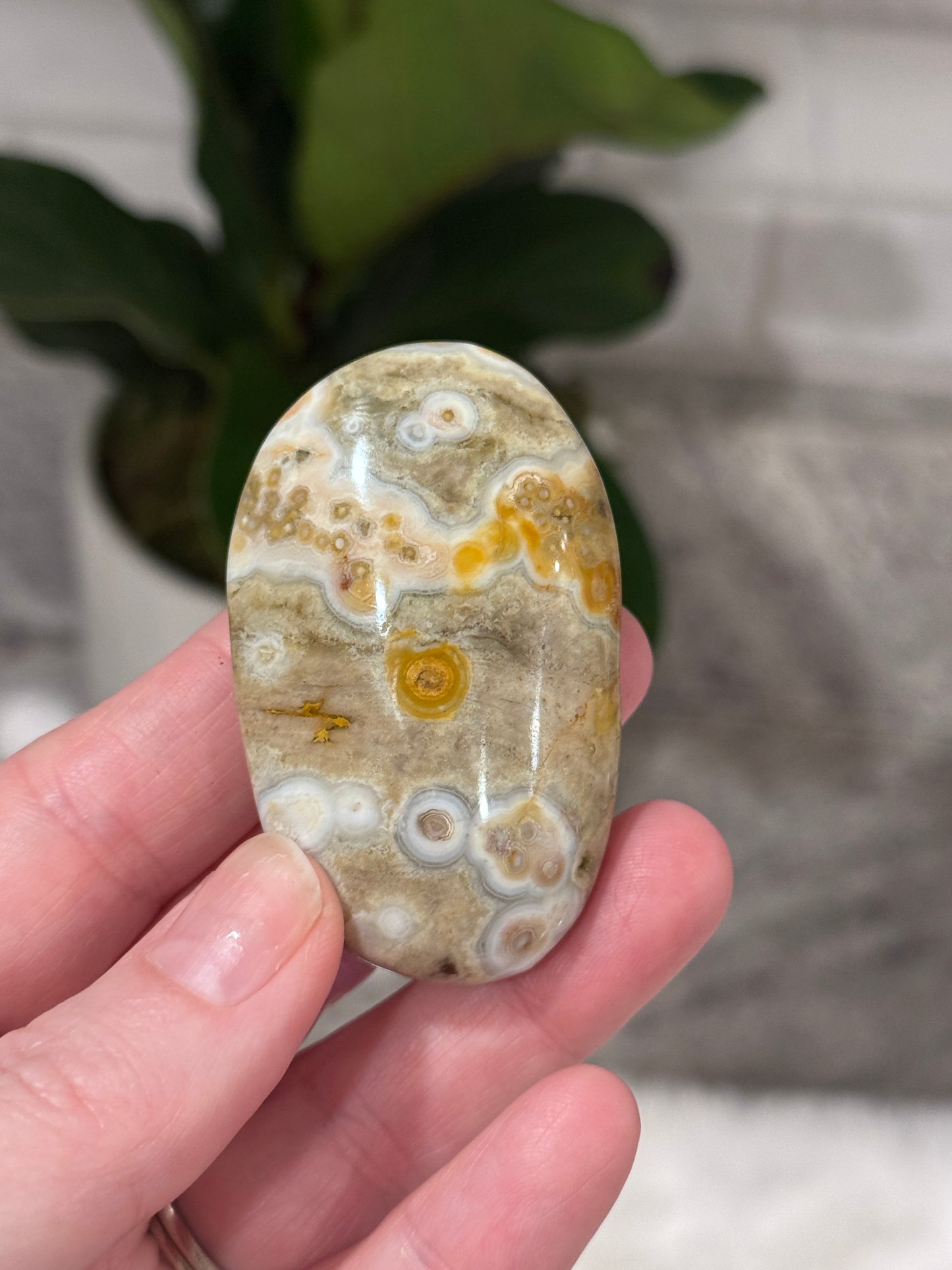 Ocean Jasper Palmstone
