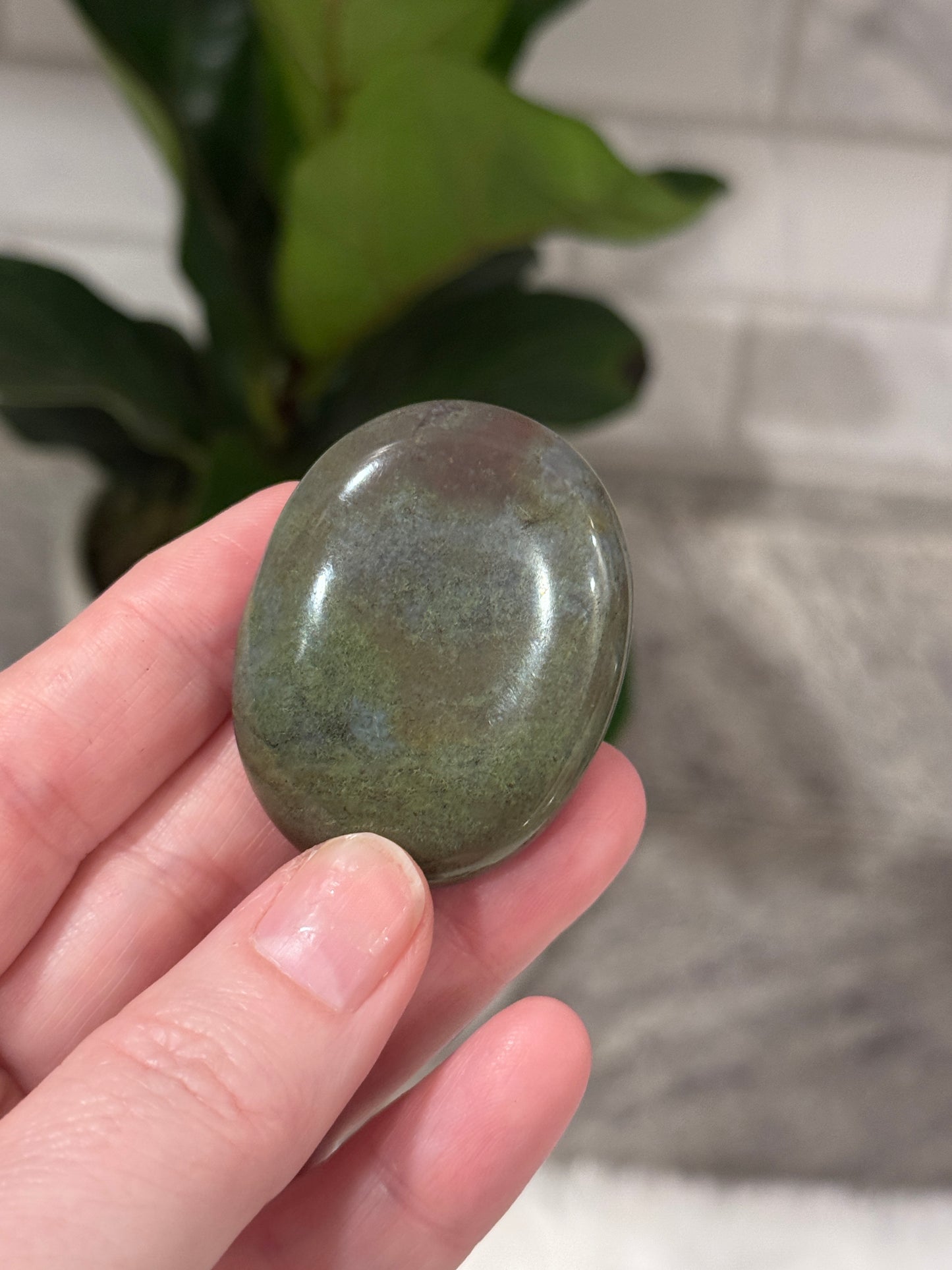 Ocean Jasper Palmstone