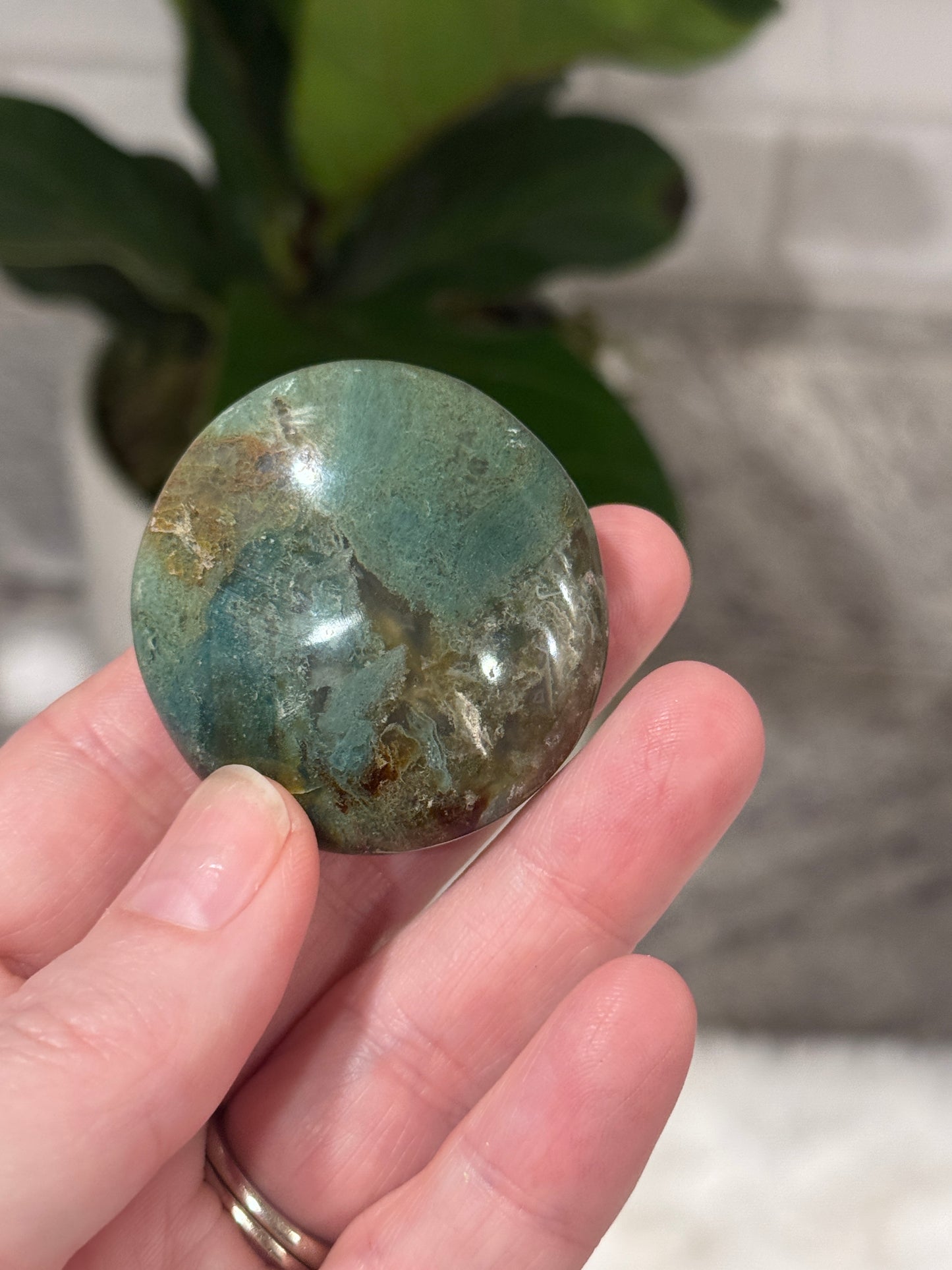 Ocean Jasper Palmstone