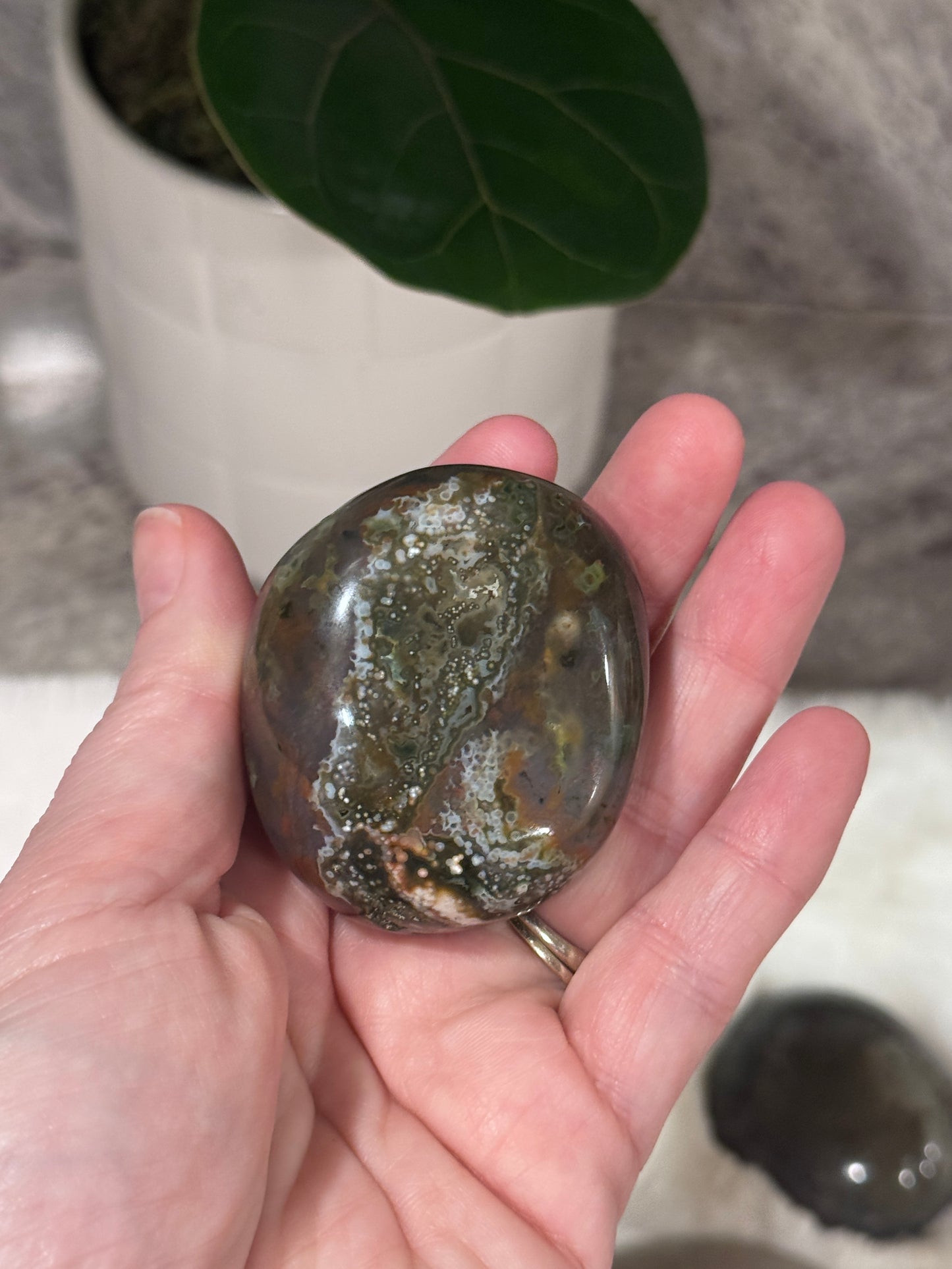 Ocean Jasper Palmstone