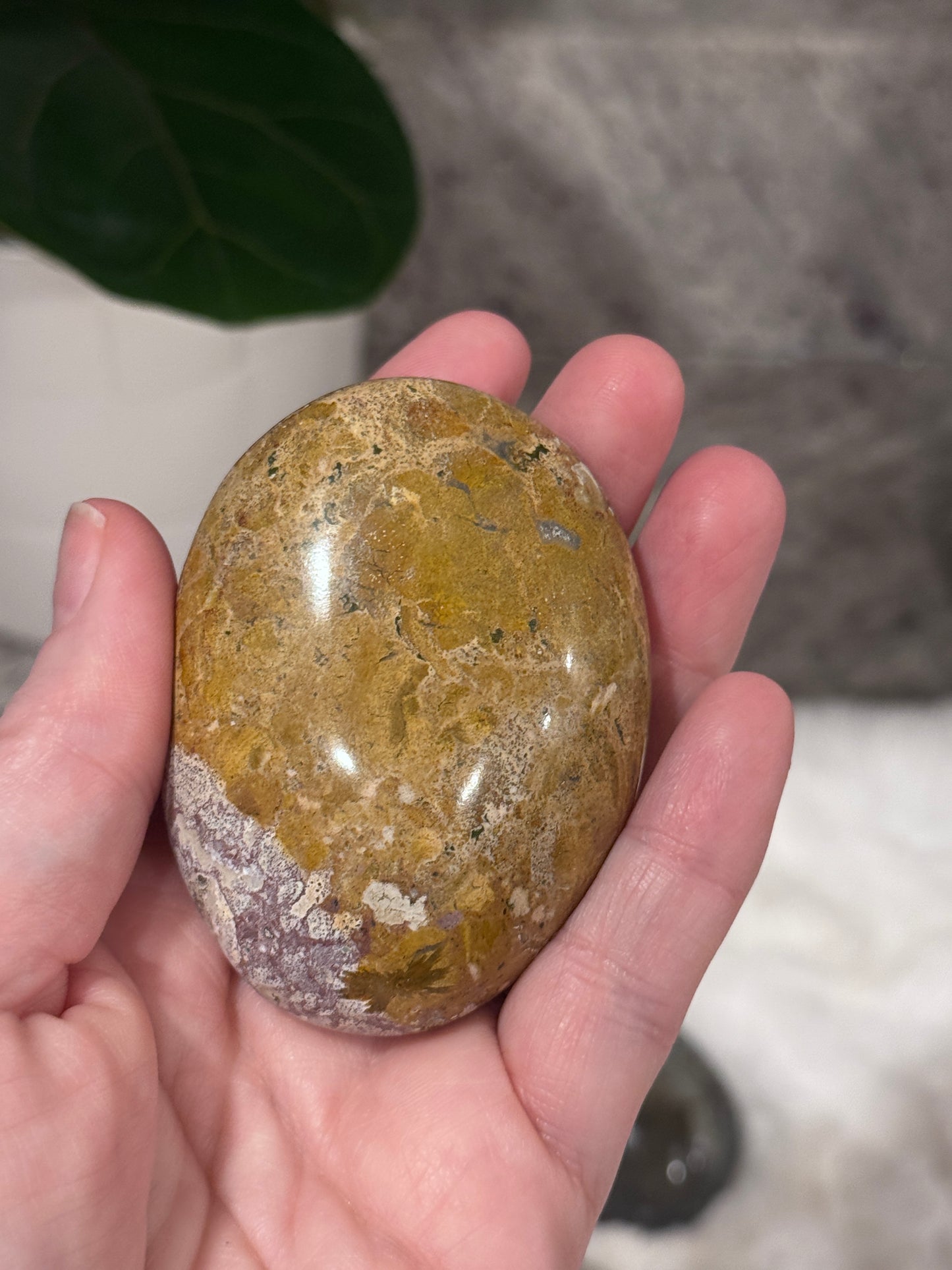 Ocean Jasper Palmstone