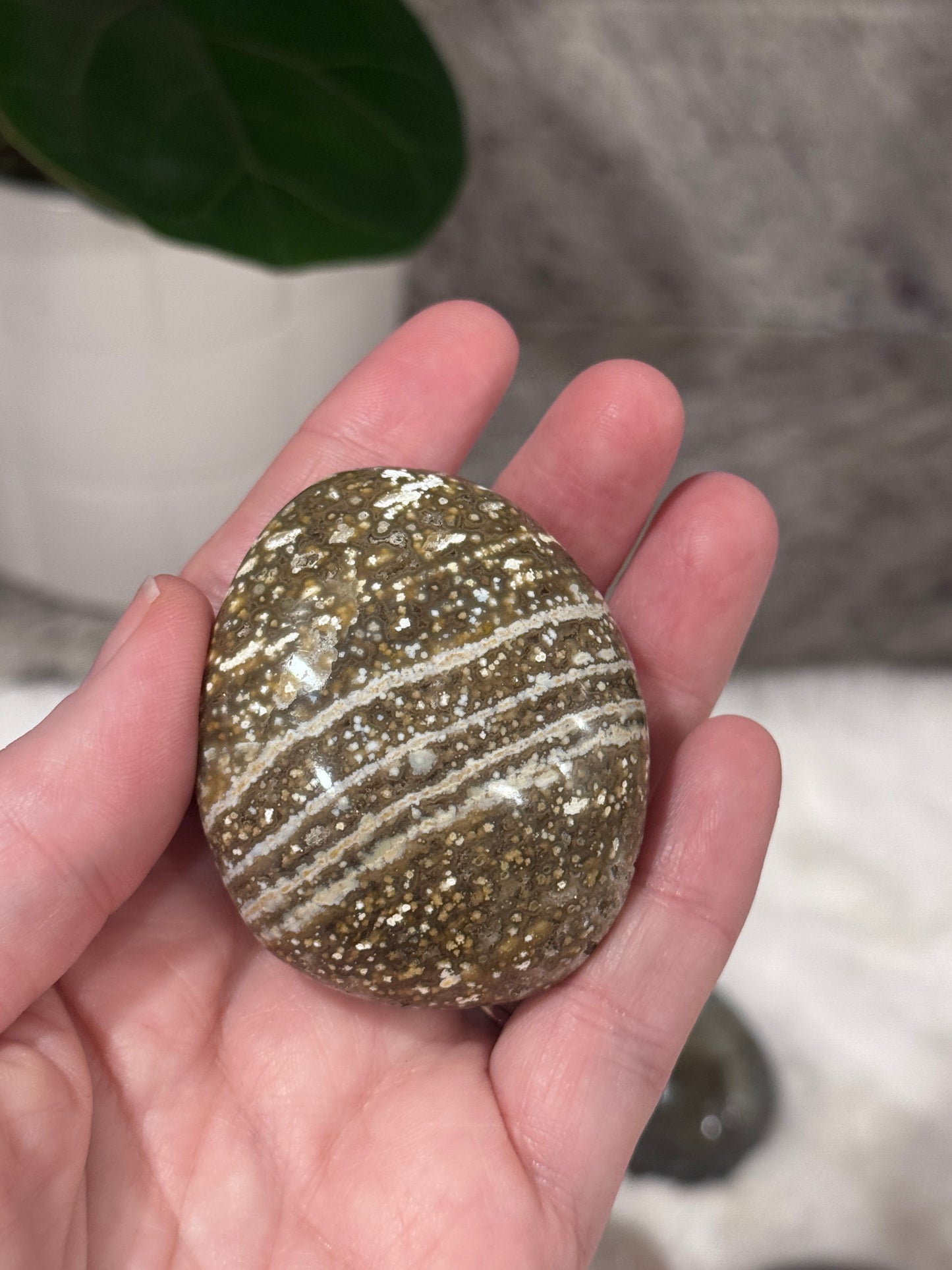 Ocean Jasper Palmstone