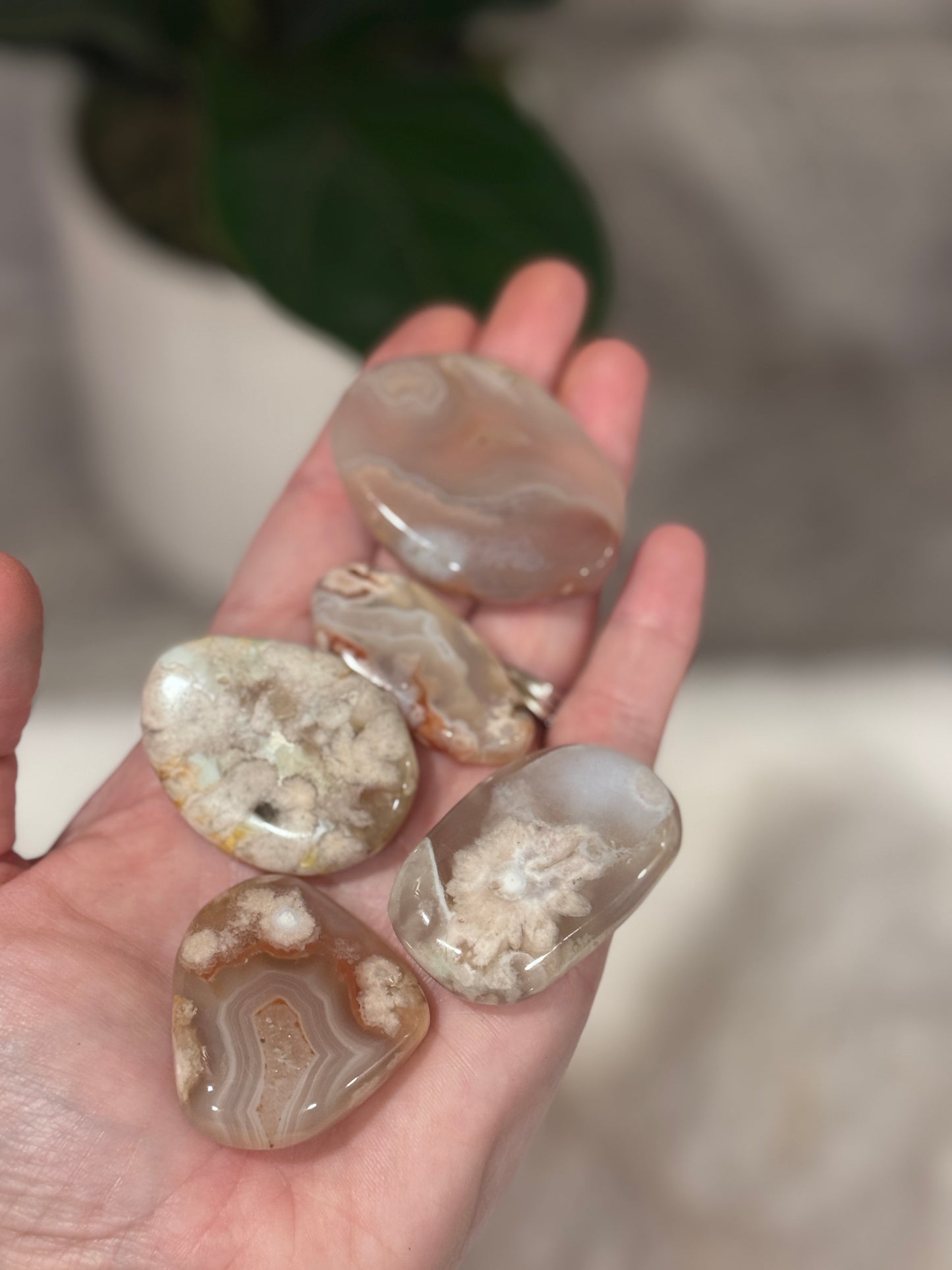 Flower Agate Flat Stone