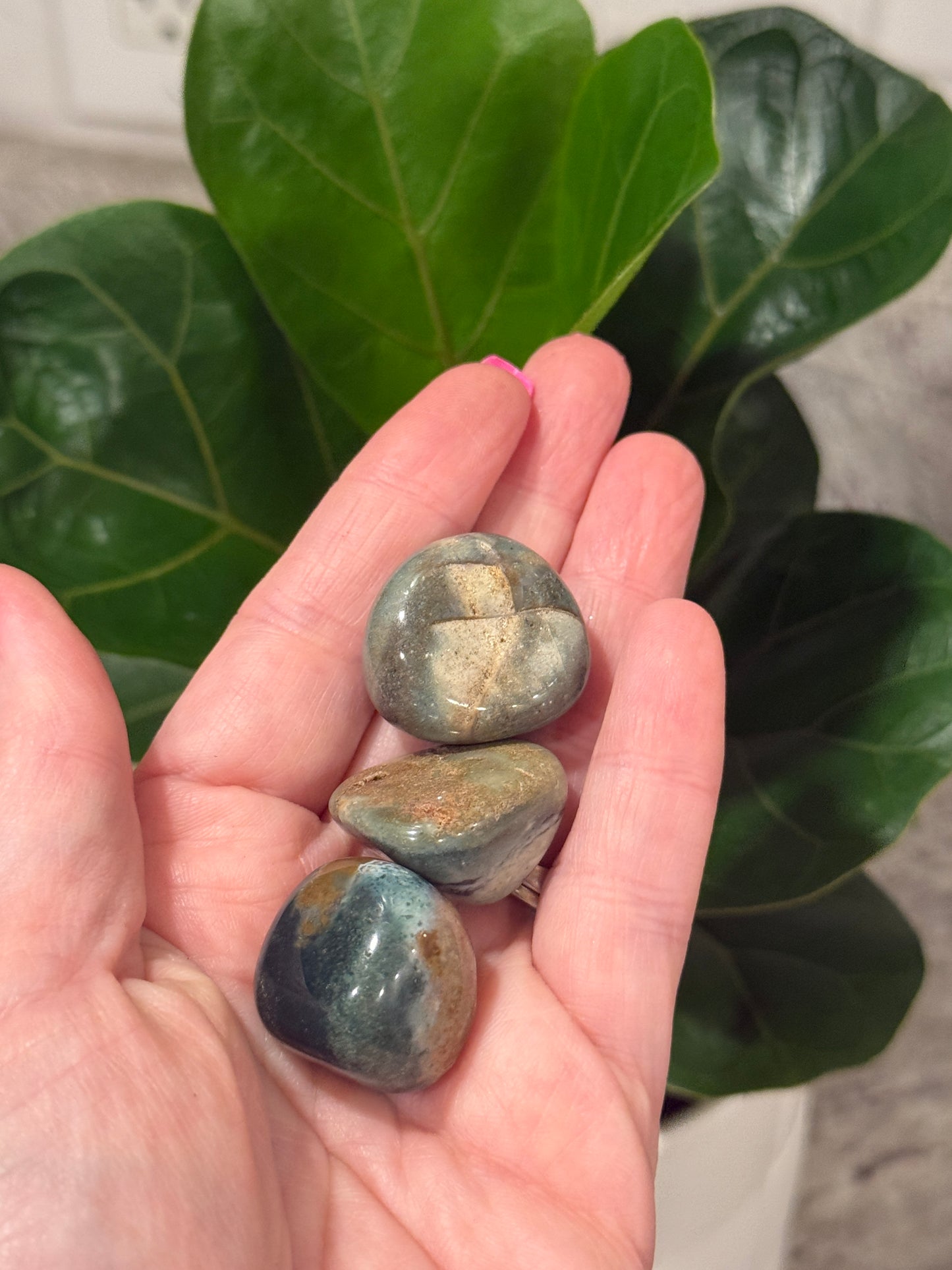 Ocean Jasper Tumbles