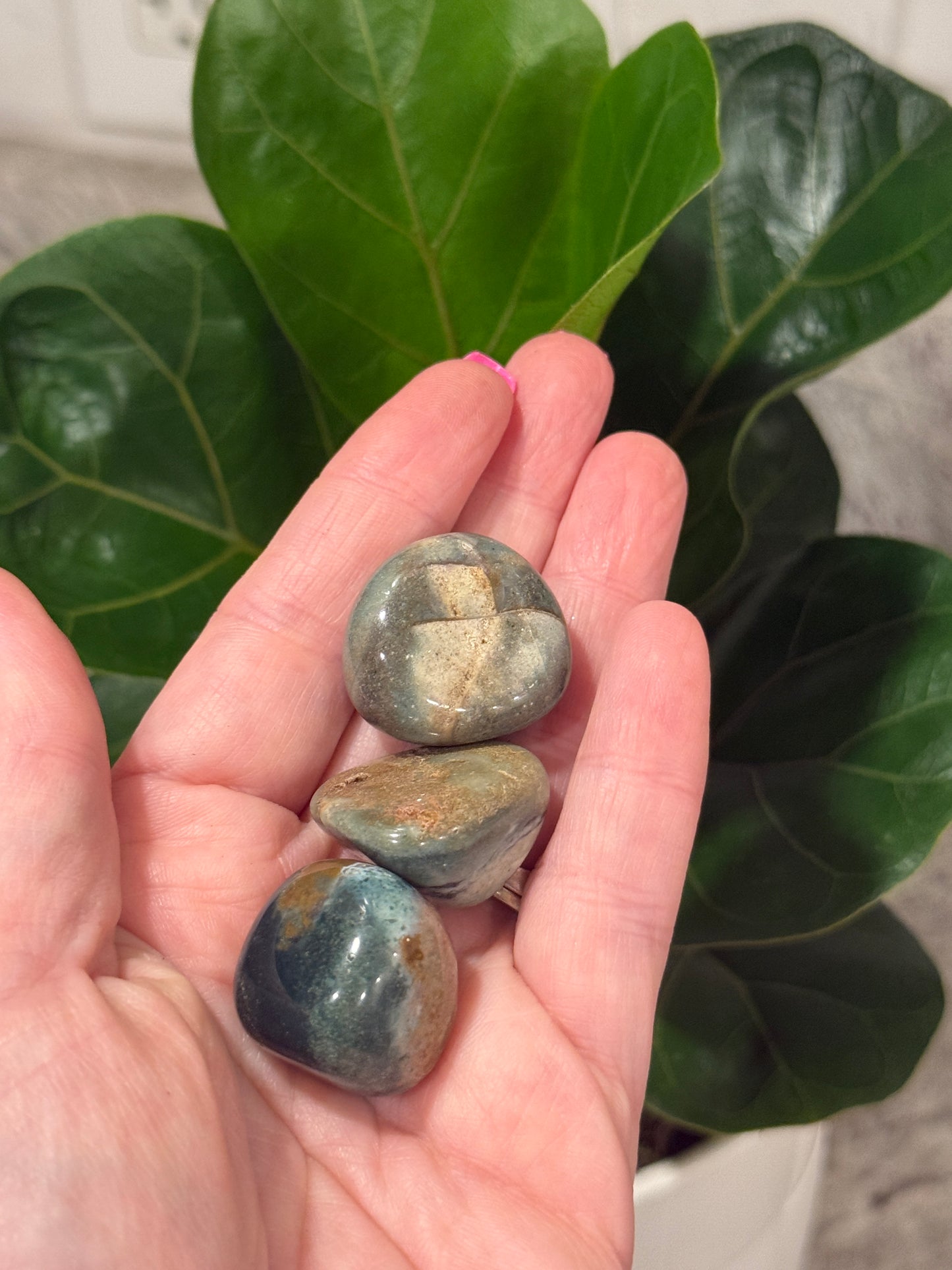 Ocean Jasper Tumbles