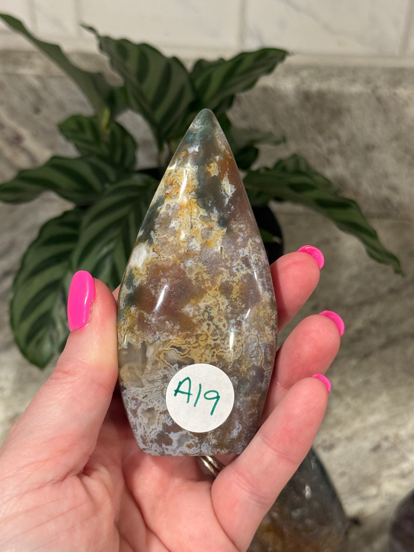 Ocean Jasper Free Form A