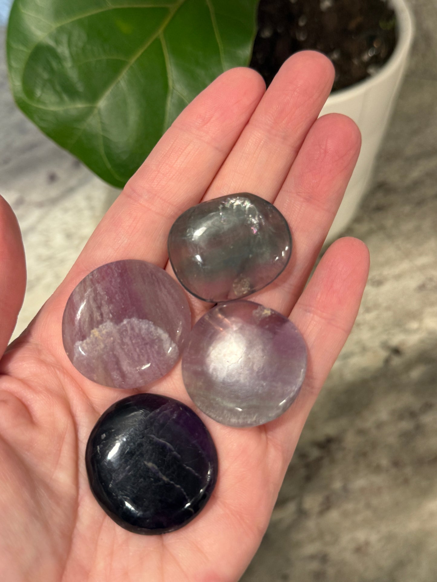 Rainbow Fluorite Coin Flat