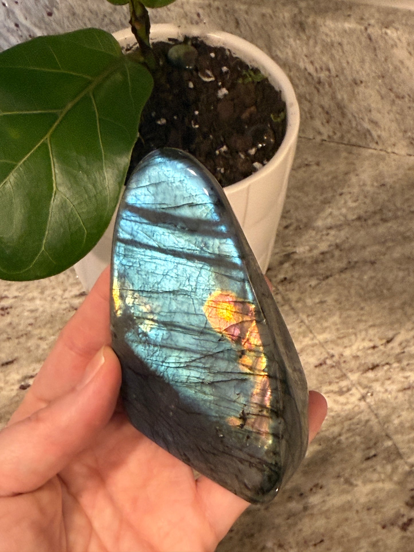 Labradorite Free Form