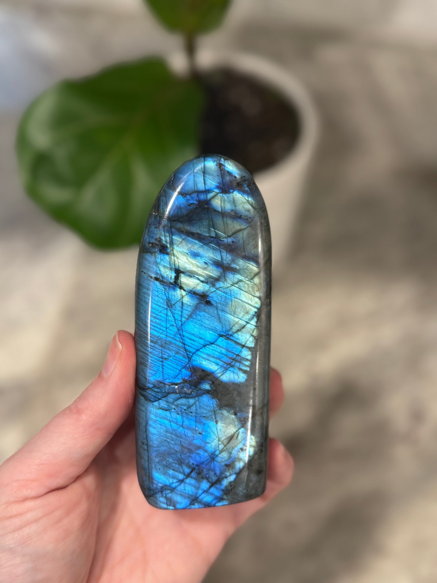 Labradorite Free Form