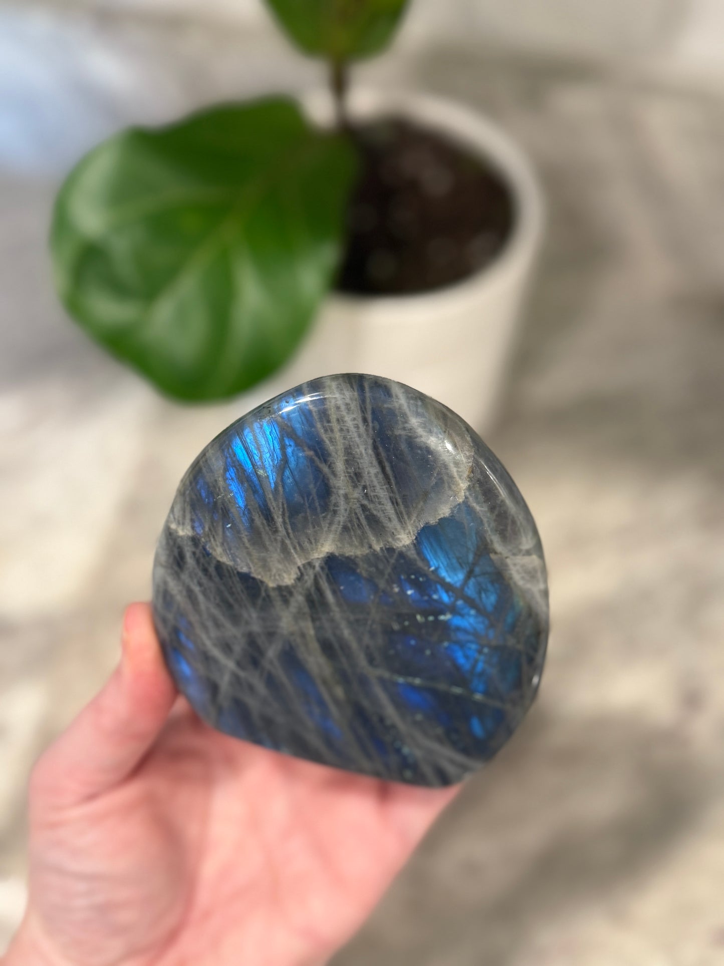 Labradorite Free Form