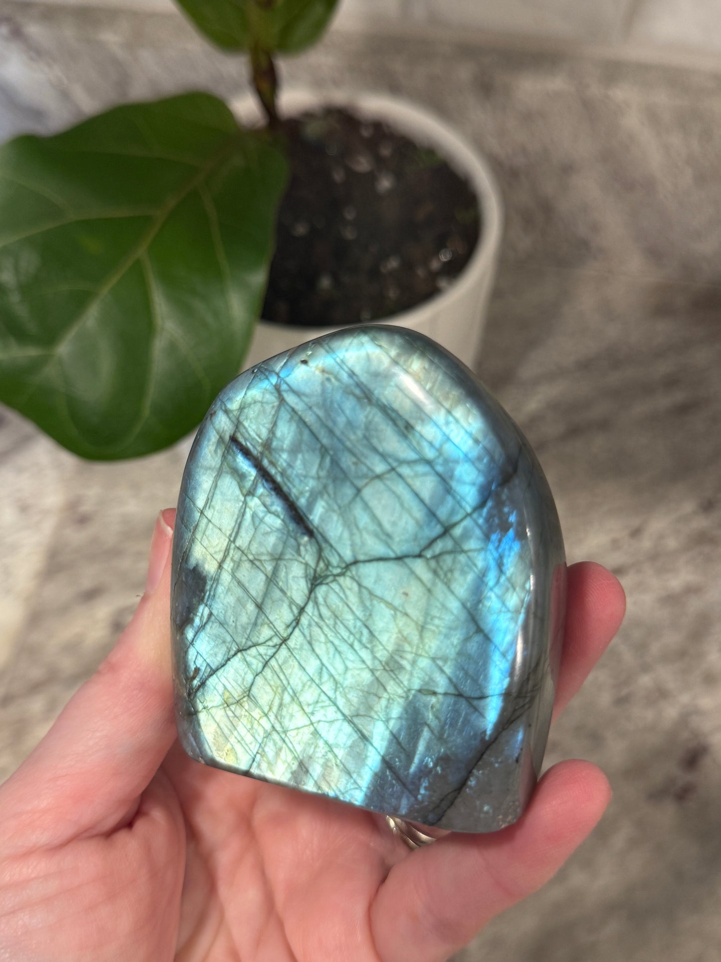 Labradorite Free Form