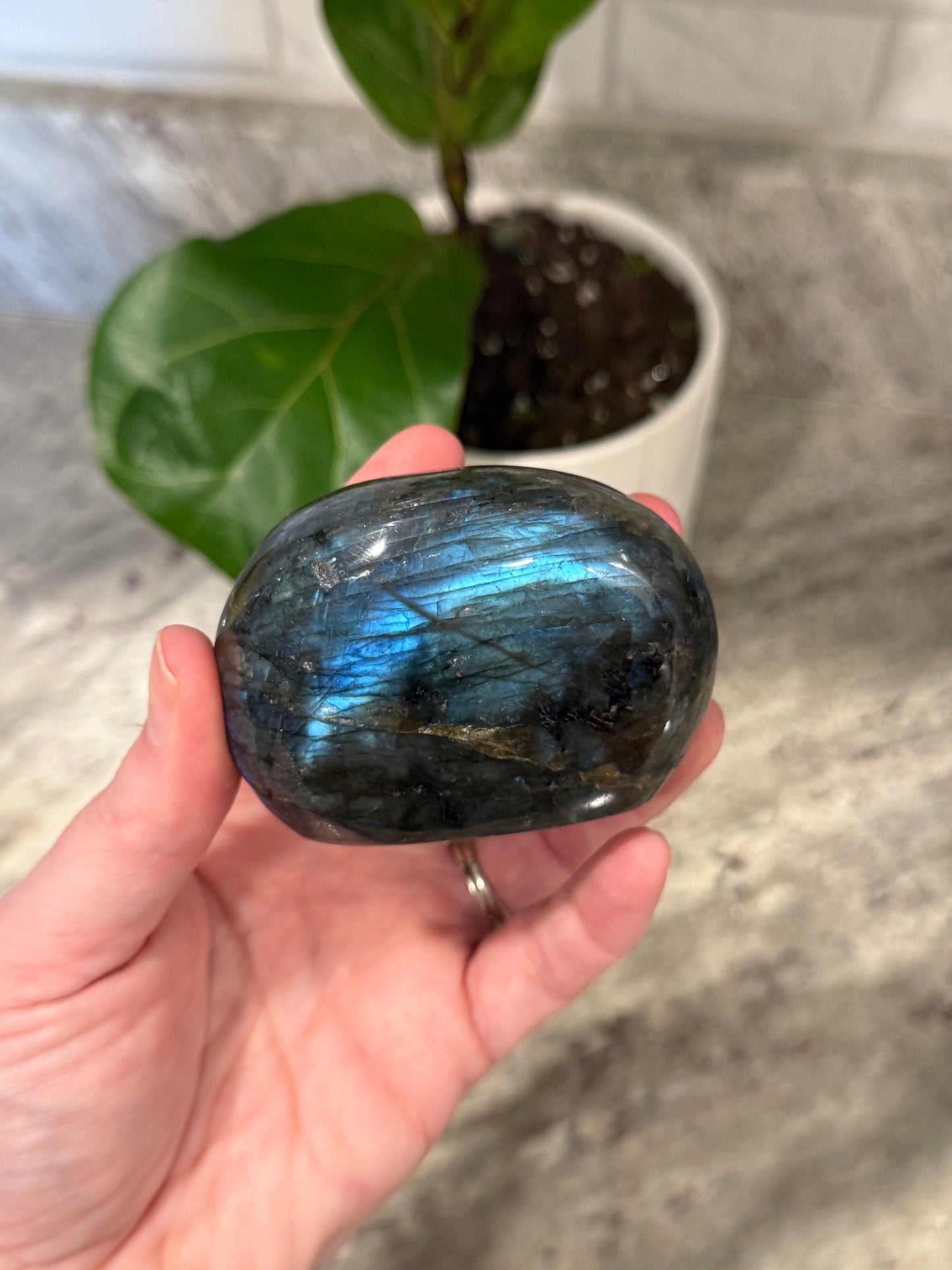 Labradorite Free Form