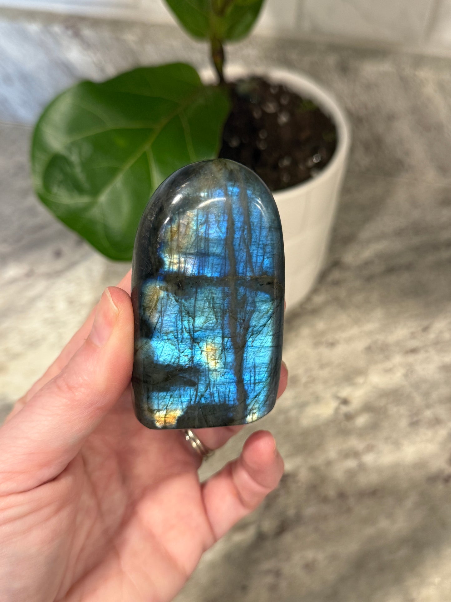 Labradorite Free Form