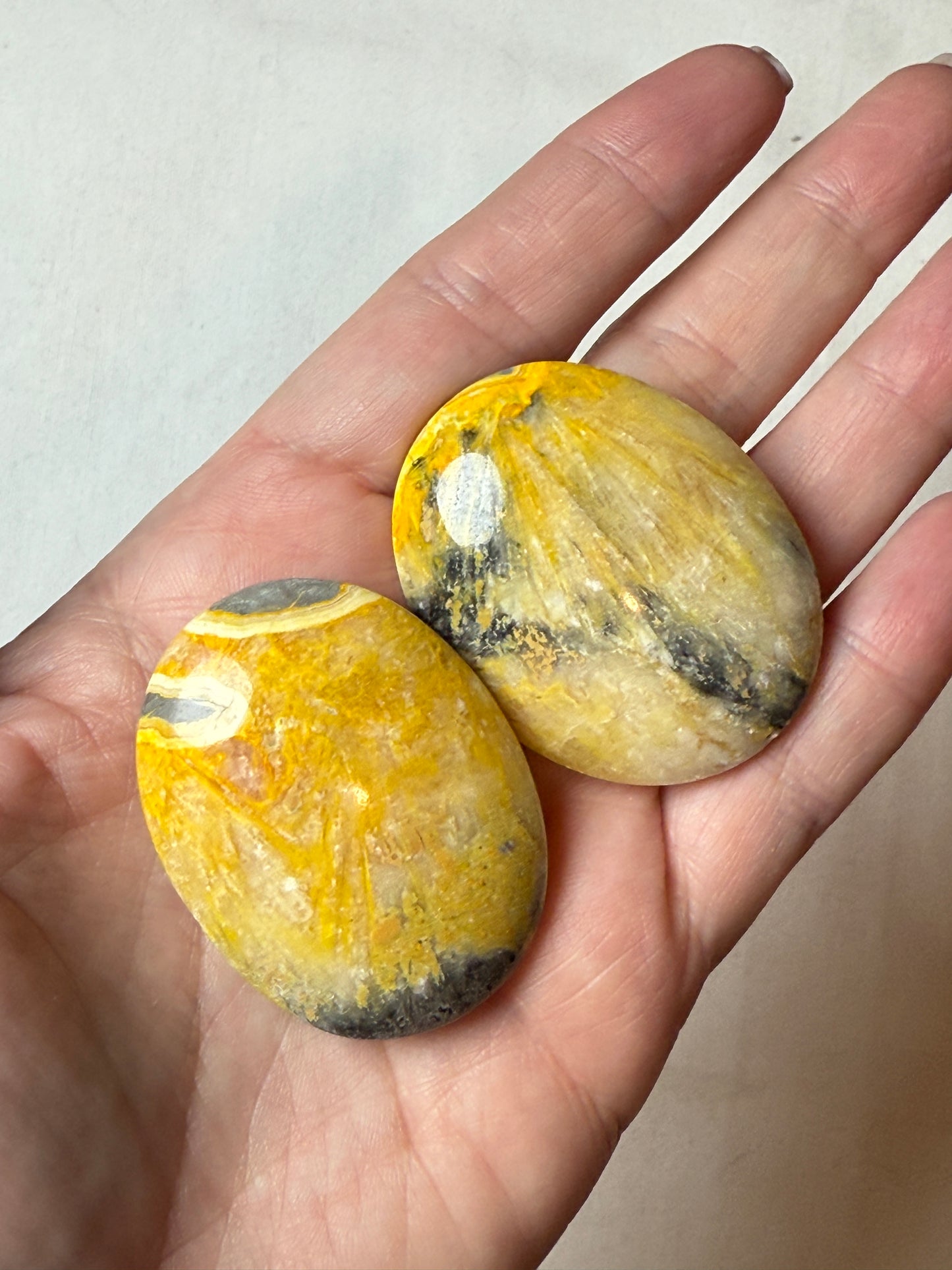 Bumble Bee Jasper Palm Stone