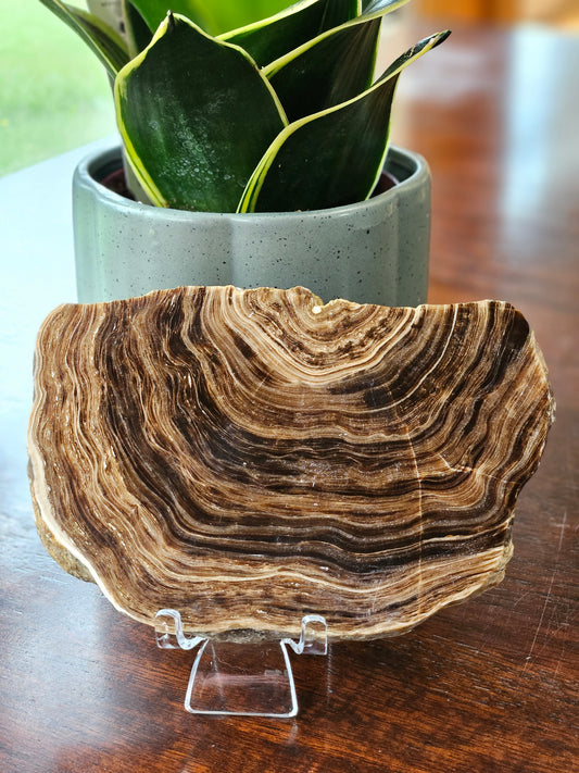Chocolate Calcite Slab