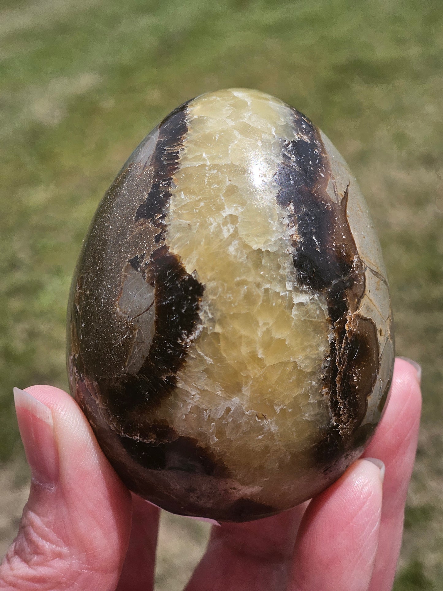 Septarian Egg