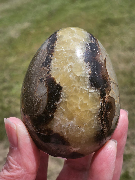 Septarian Egg