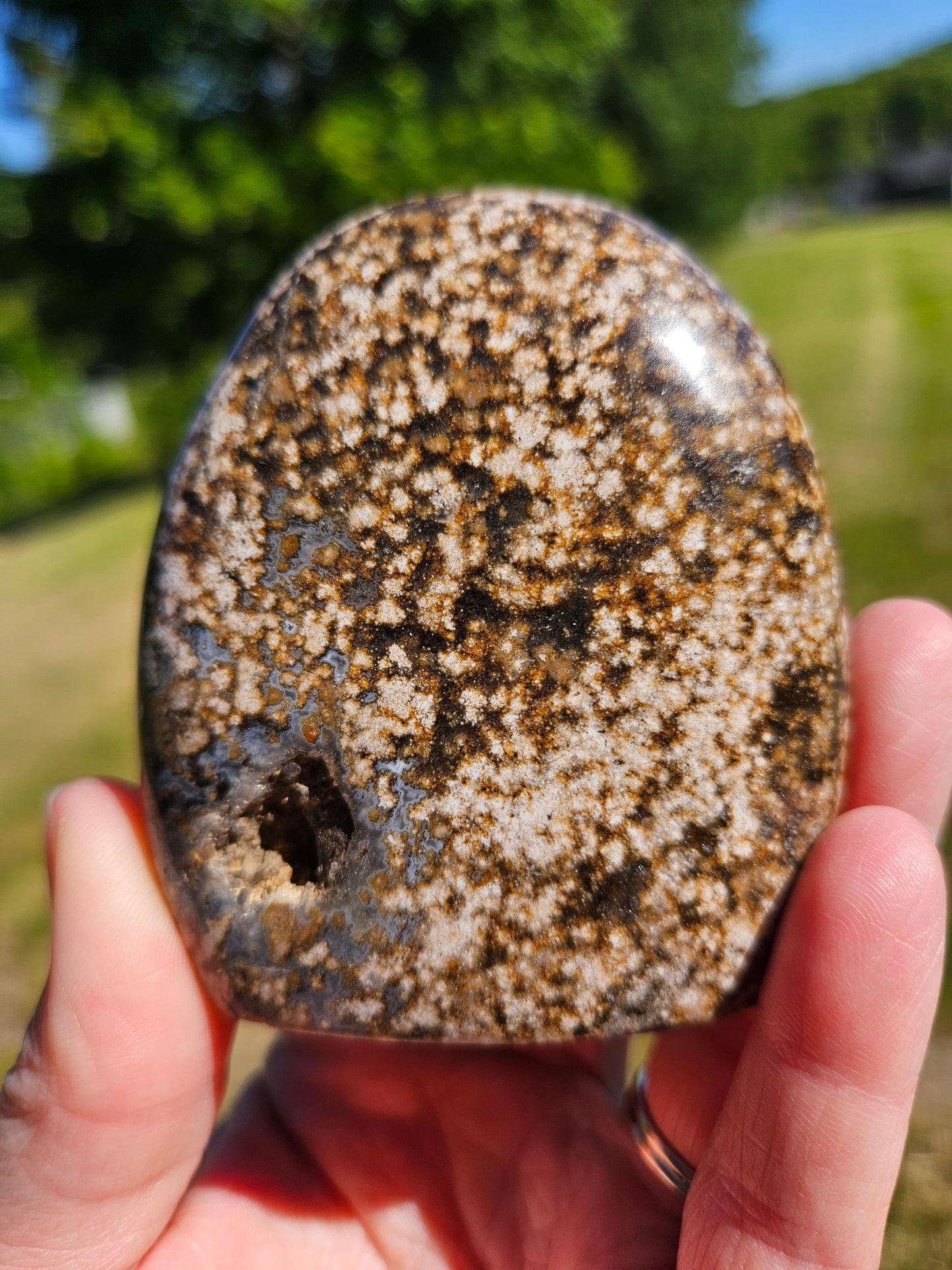 Ocean Jasper Freeform
