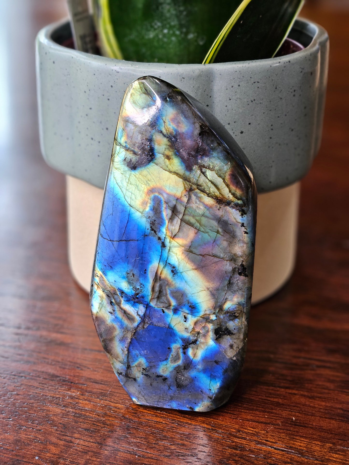 Labradorite Freeform