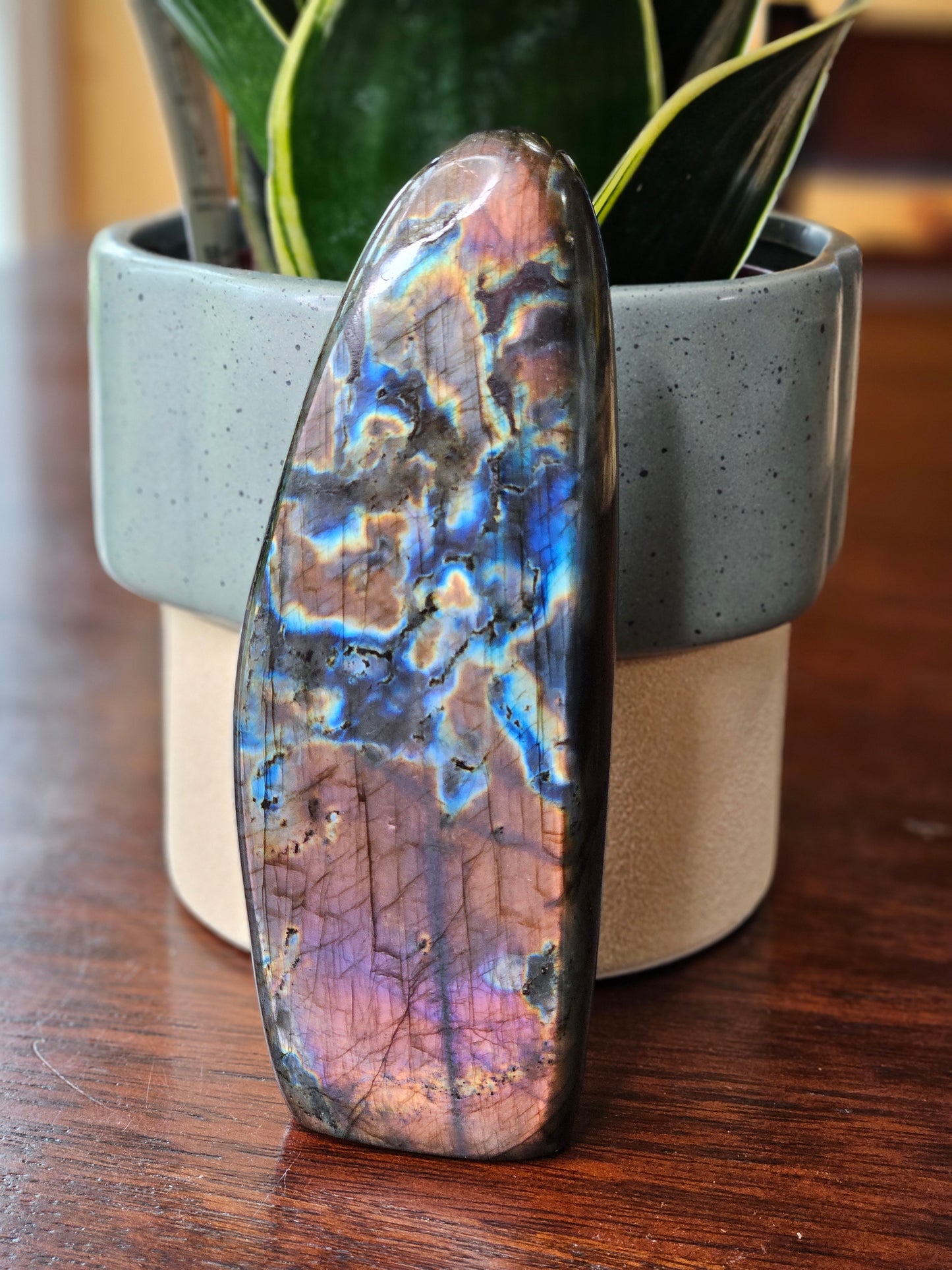 Labradorite Freeform