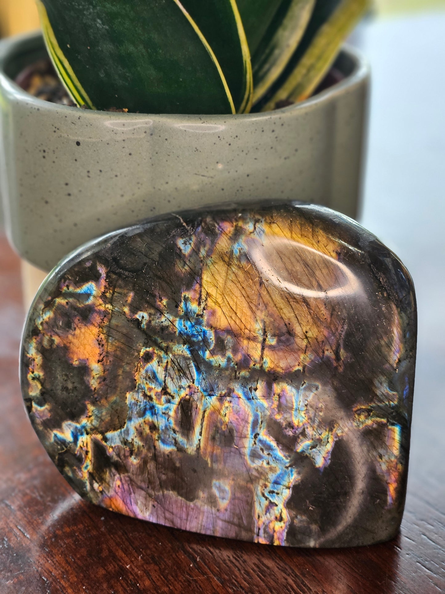 Labradorite Freeform