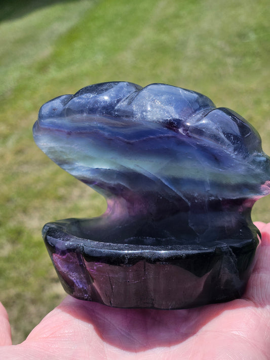 Fluorite Clam