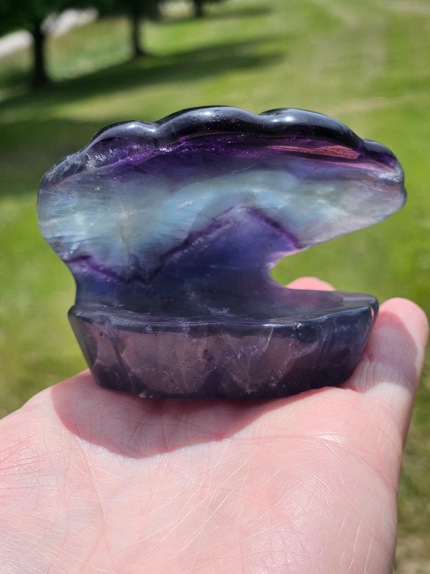 Fluorite Clam