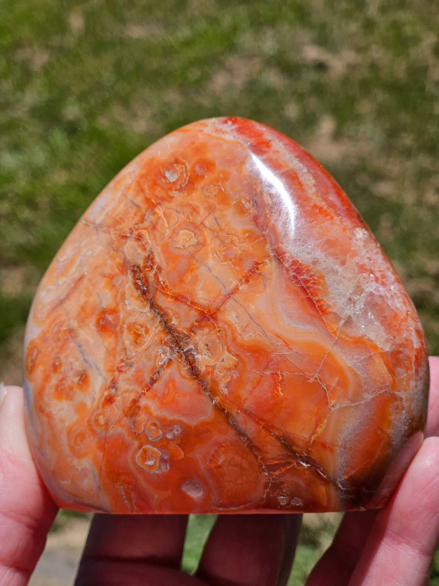 Carnelian Free-Form
