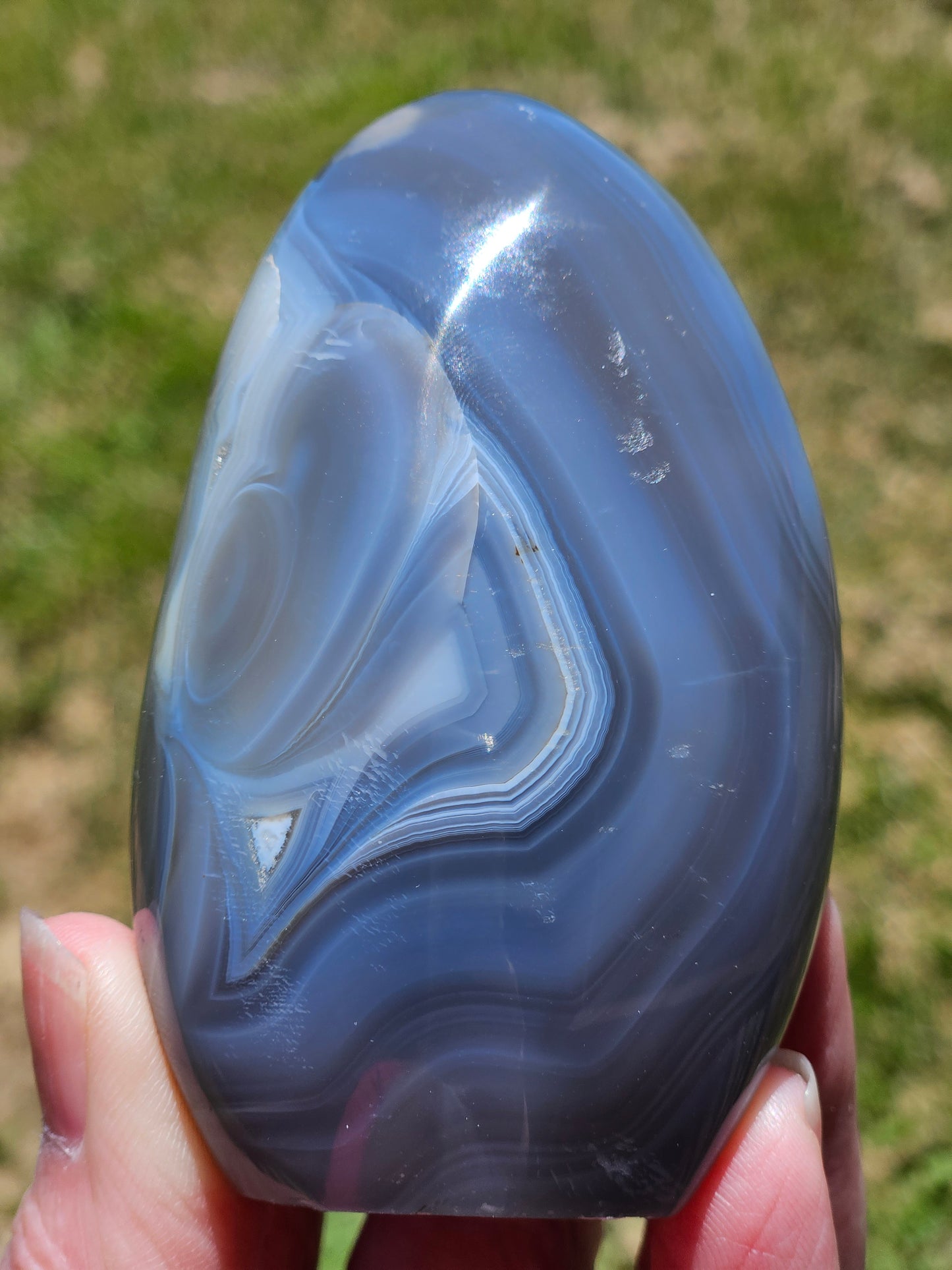 Orca and Banded Agate Free-Form