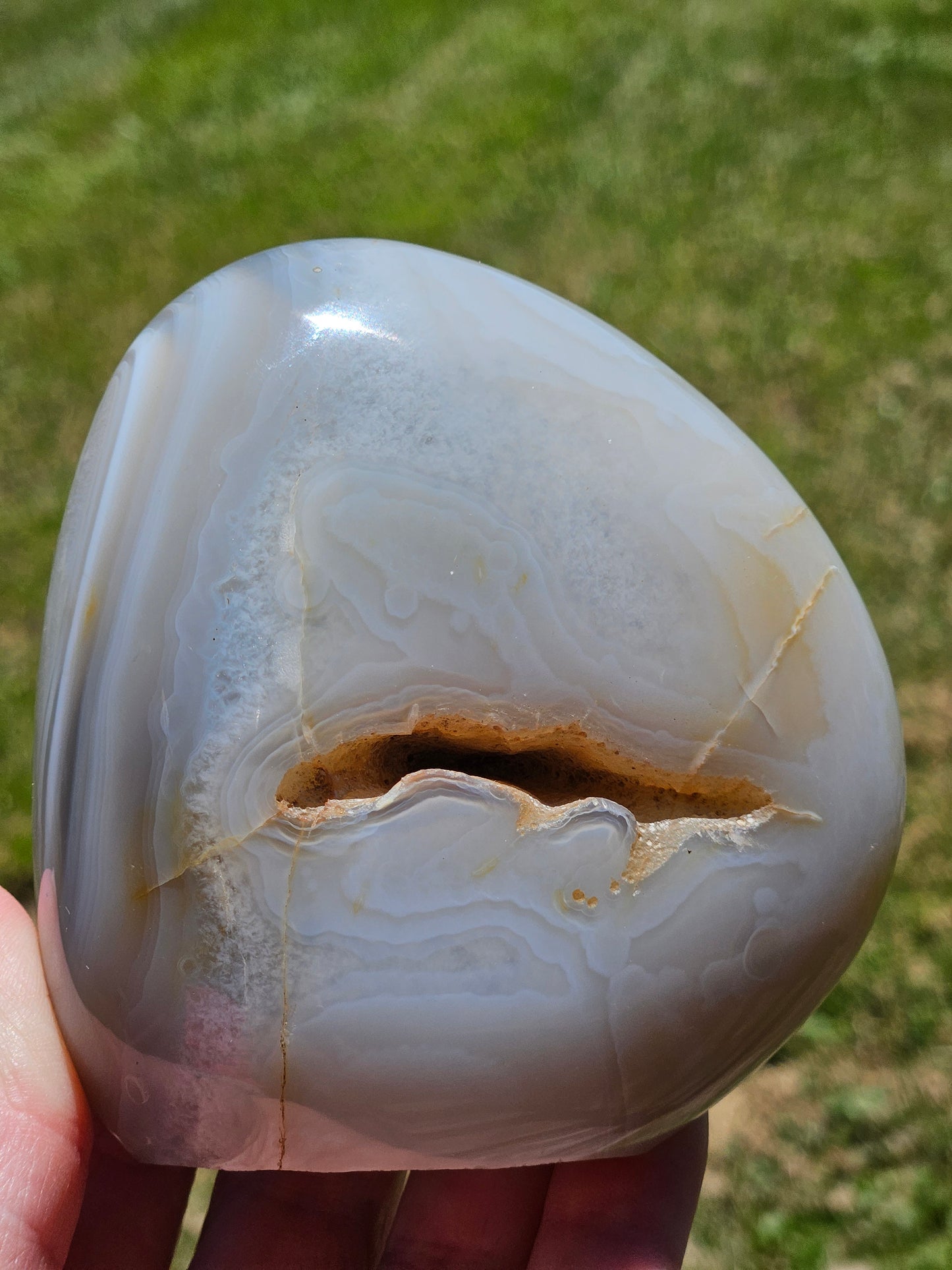 Orca and Banded Agate Free-Form