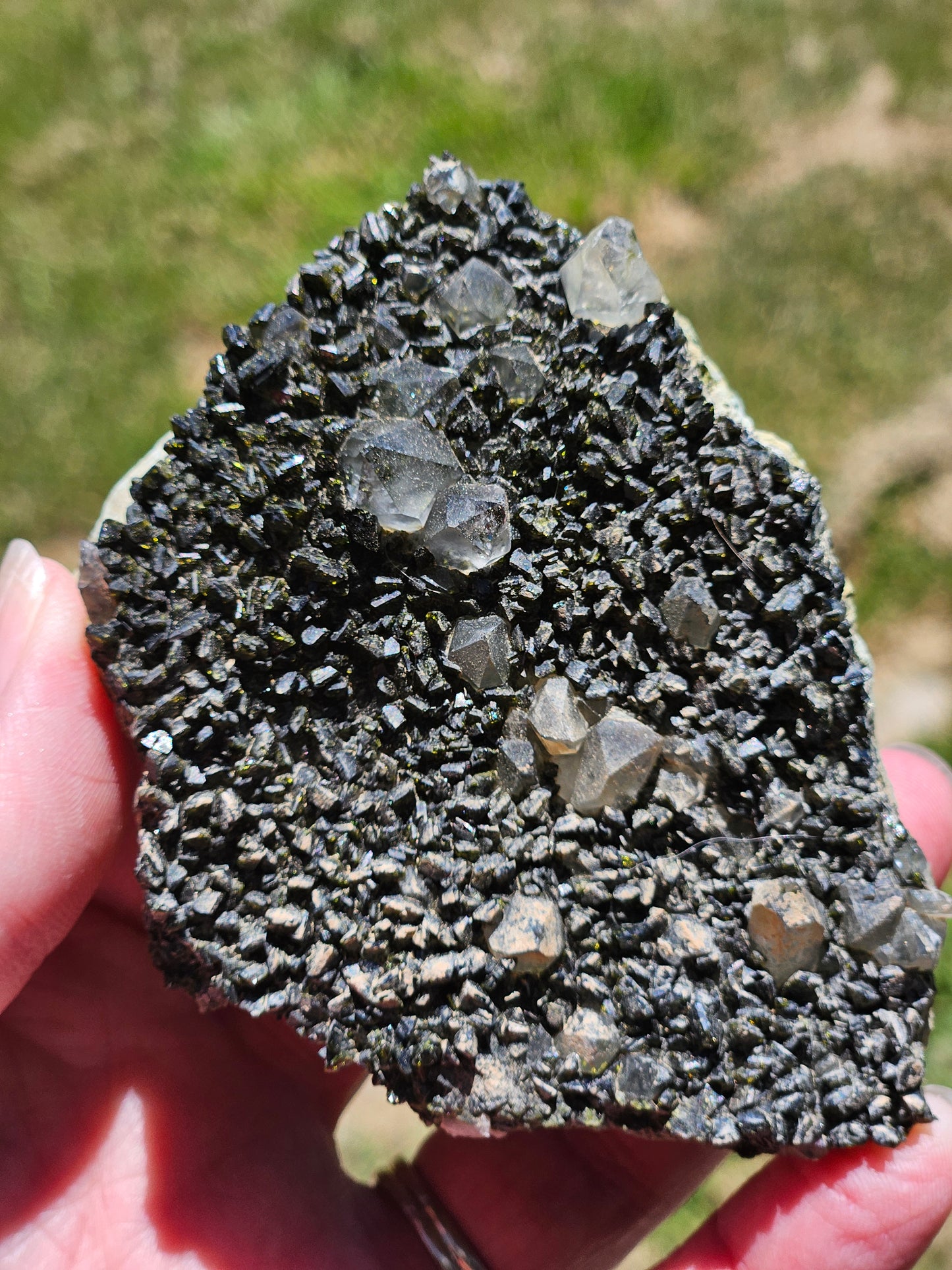 Epidote in Quartz