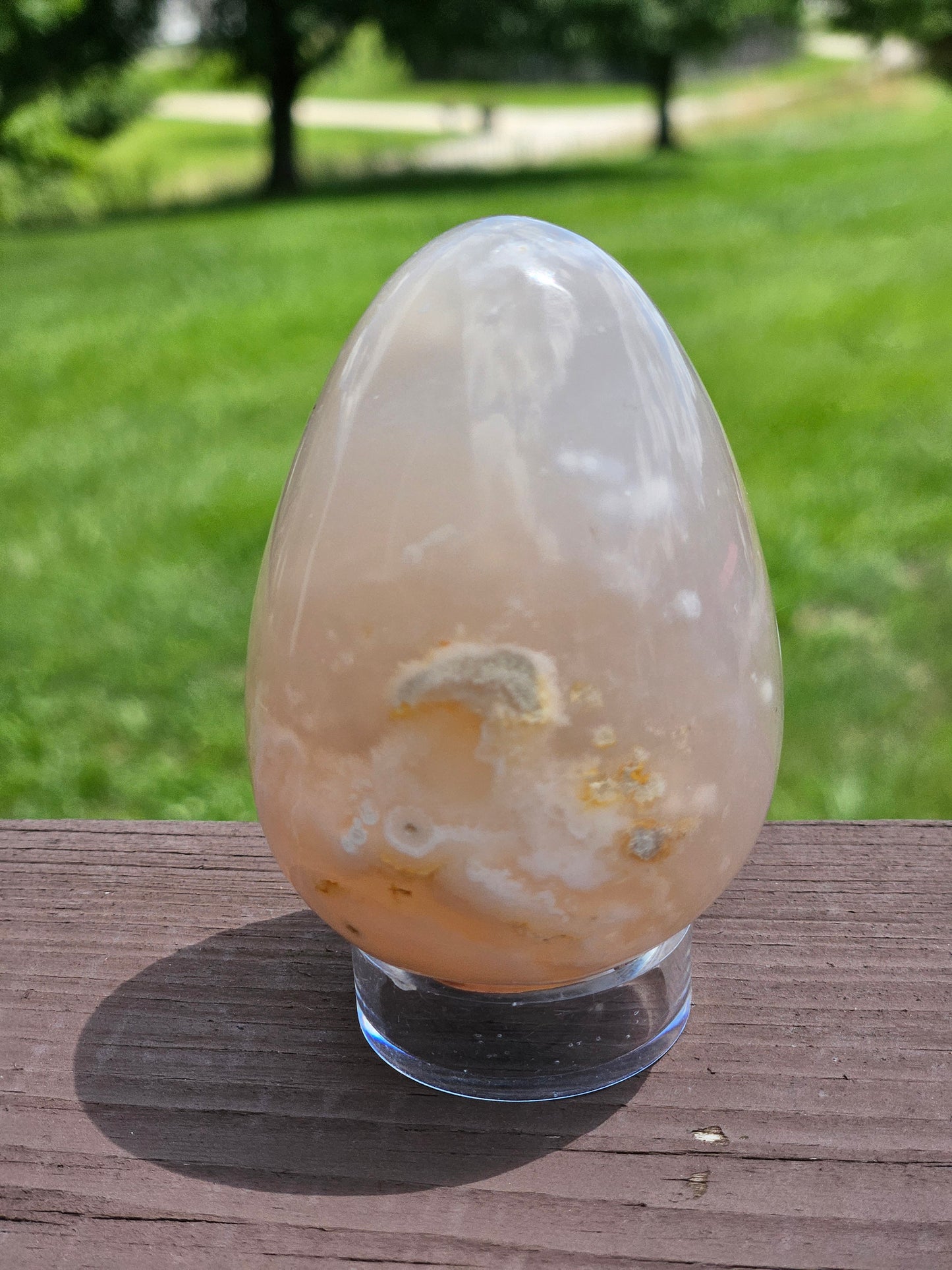 Flower Agate Egg