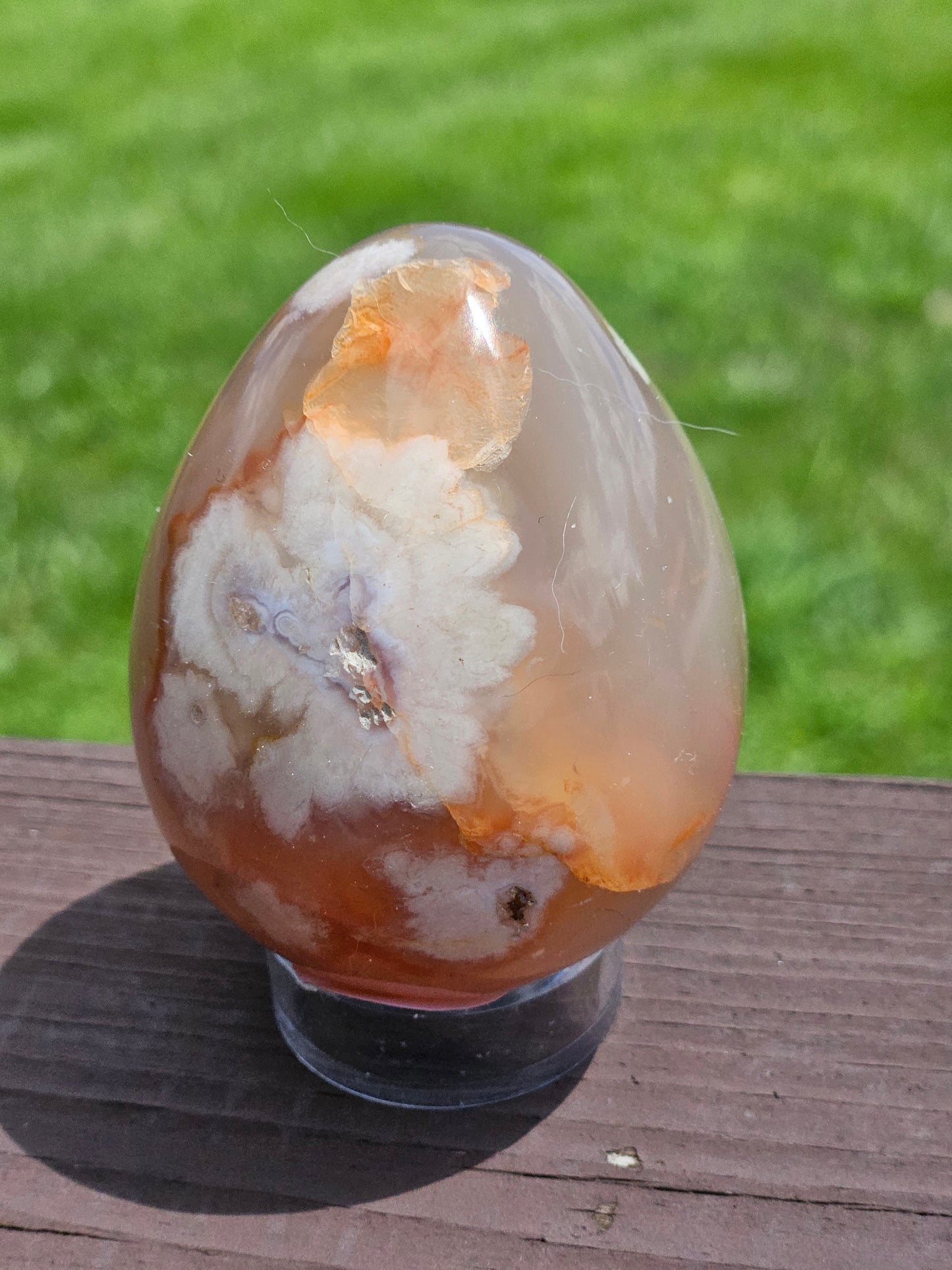 Flower Agate Egg