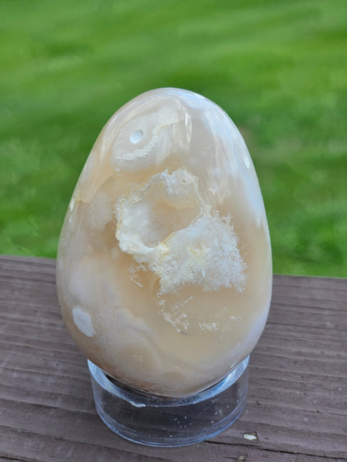 Flower Agate Egg