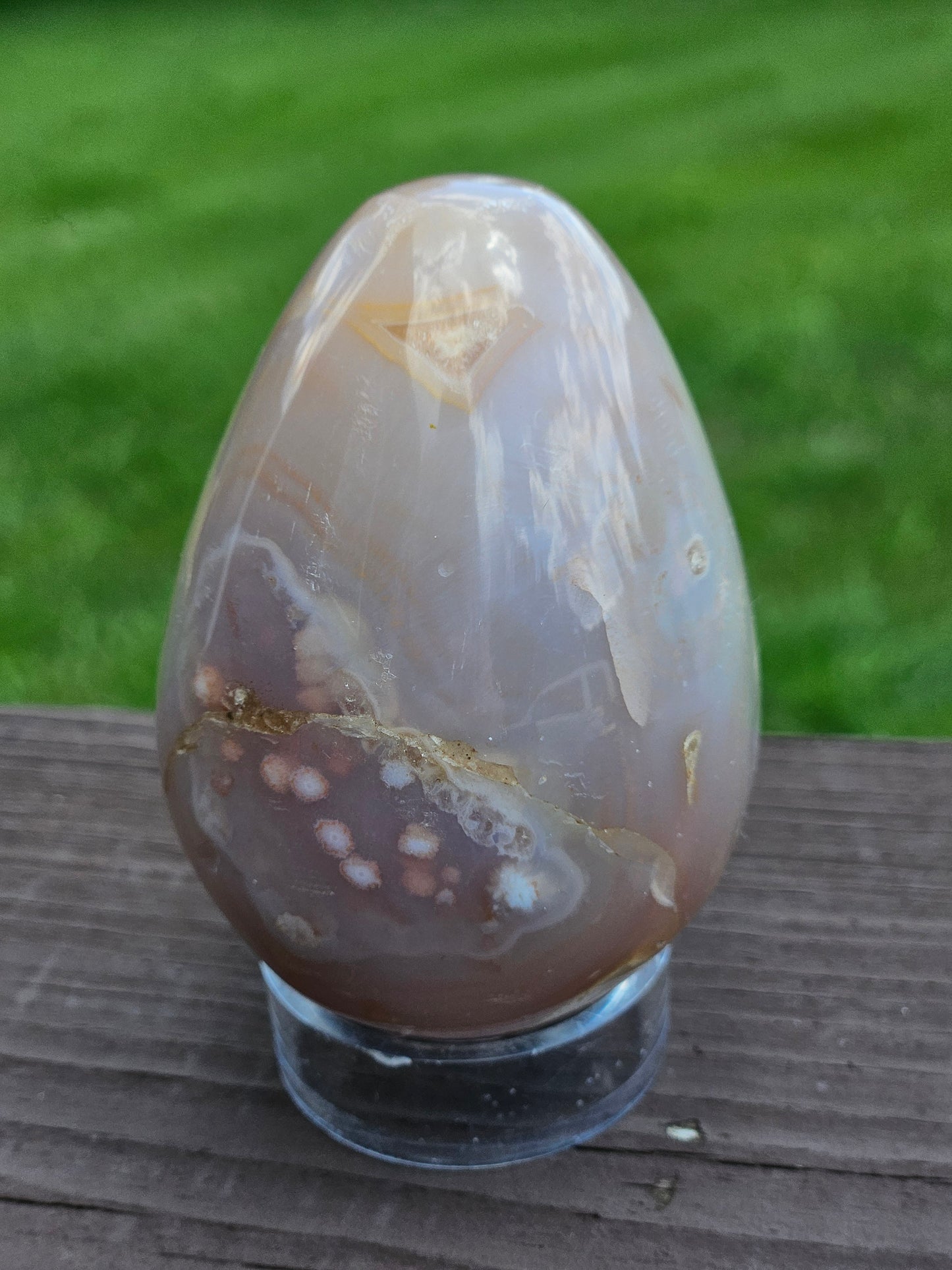 Flower Agate Egg