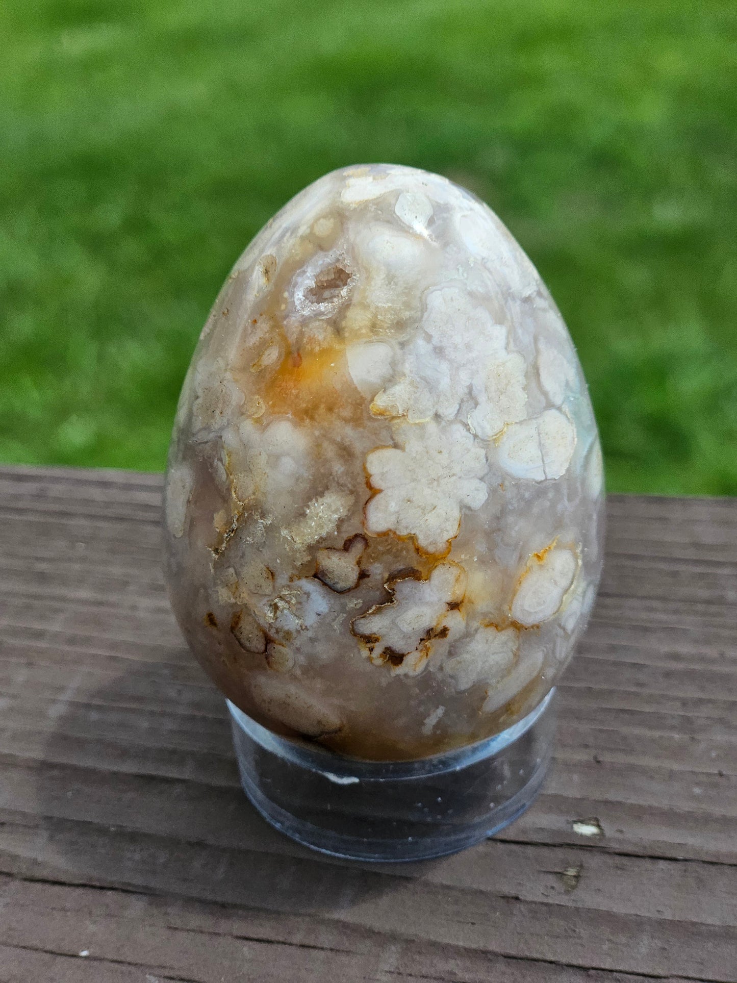 Flower Agate Egg