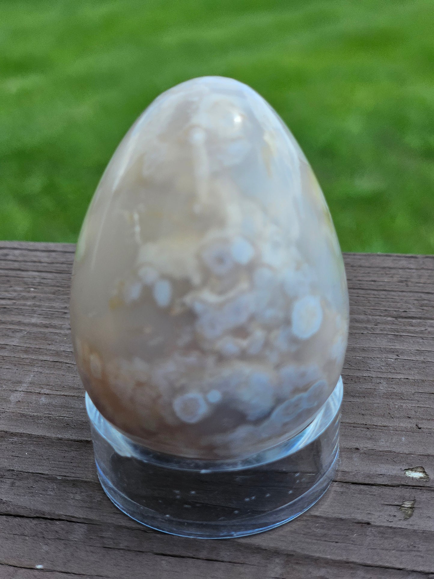 Flower Agate Egg