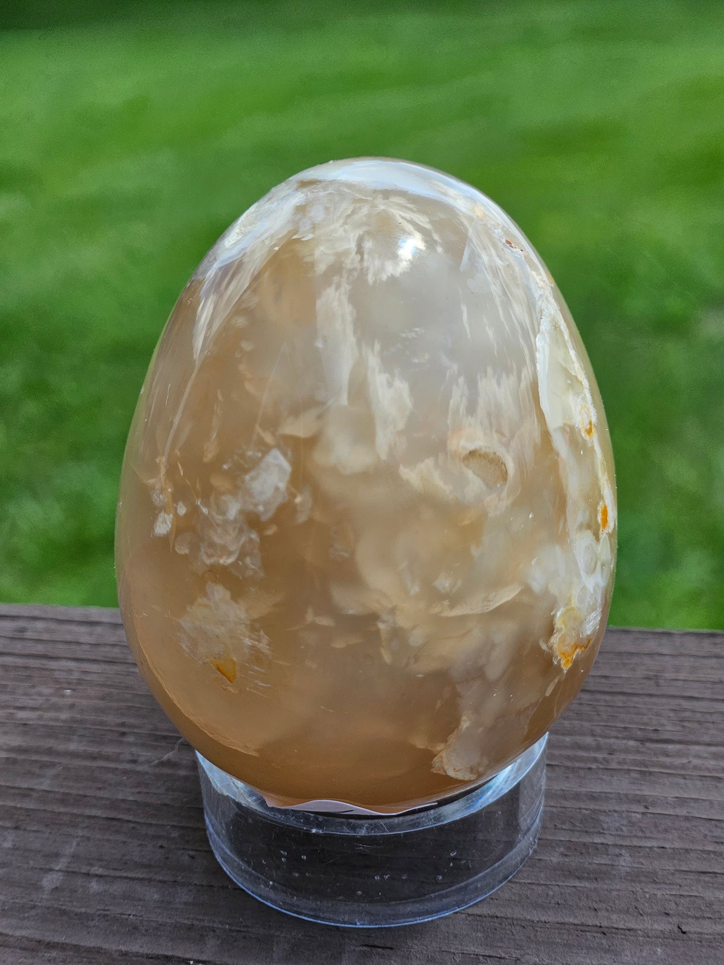 Flower Agate Egg