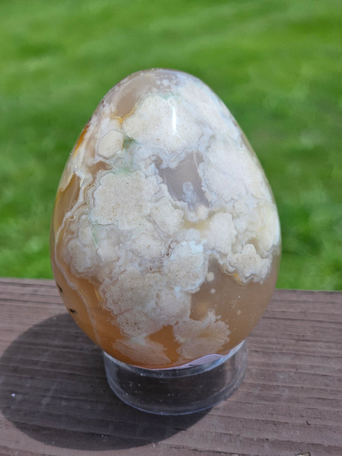 Flower Agate Egg