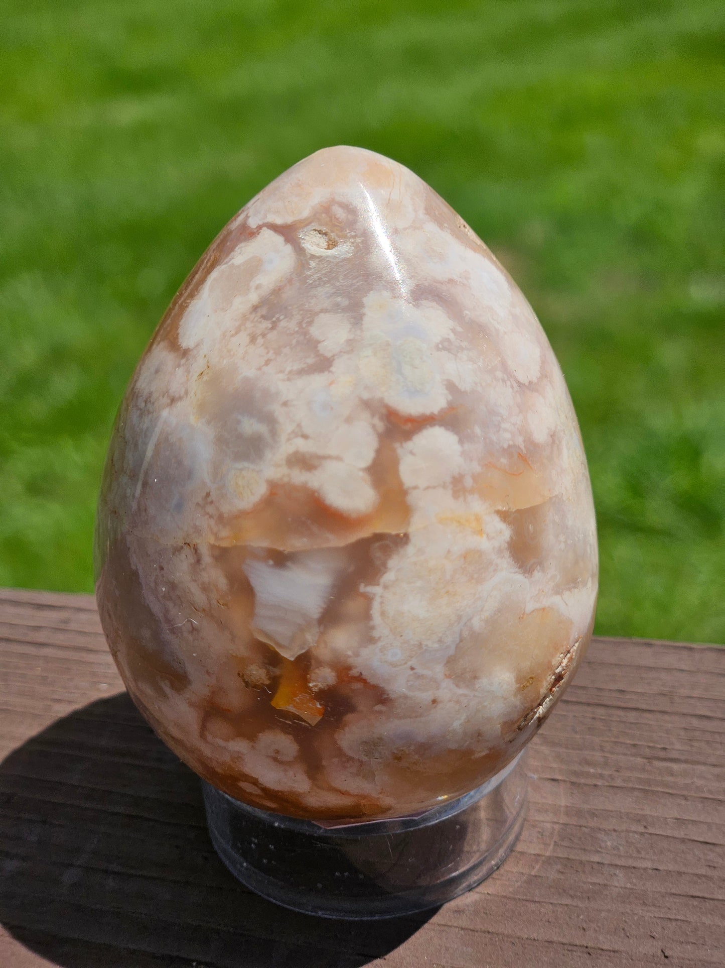 Flower Agate Egg