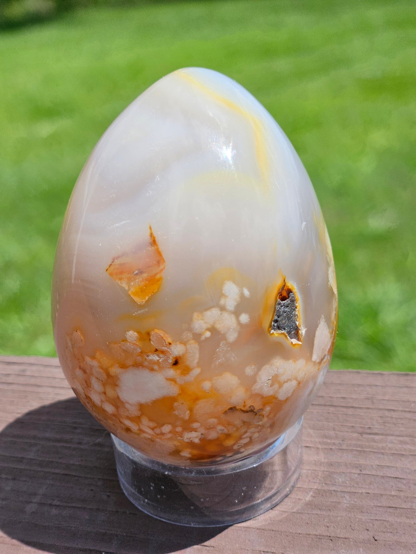 Flower Agate Egg